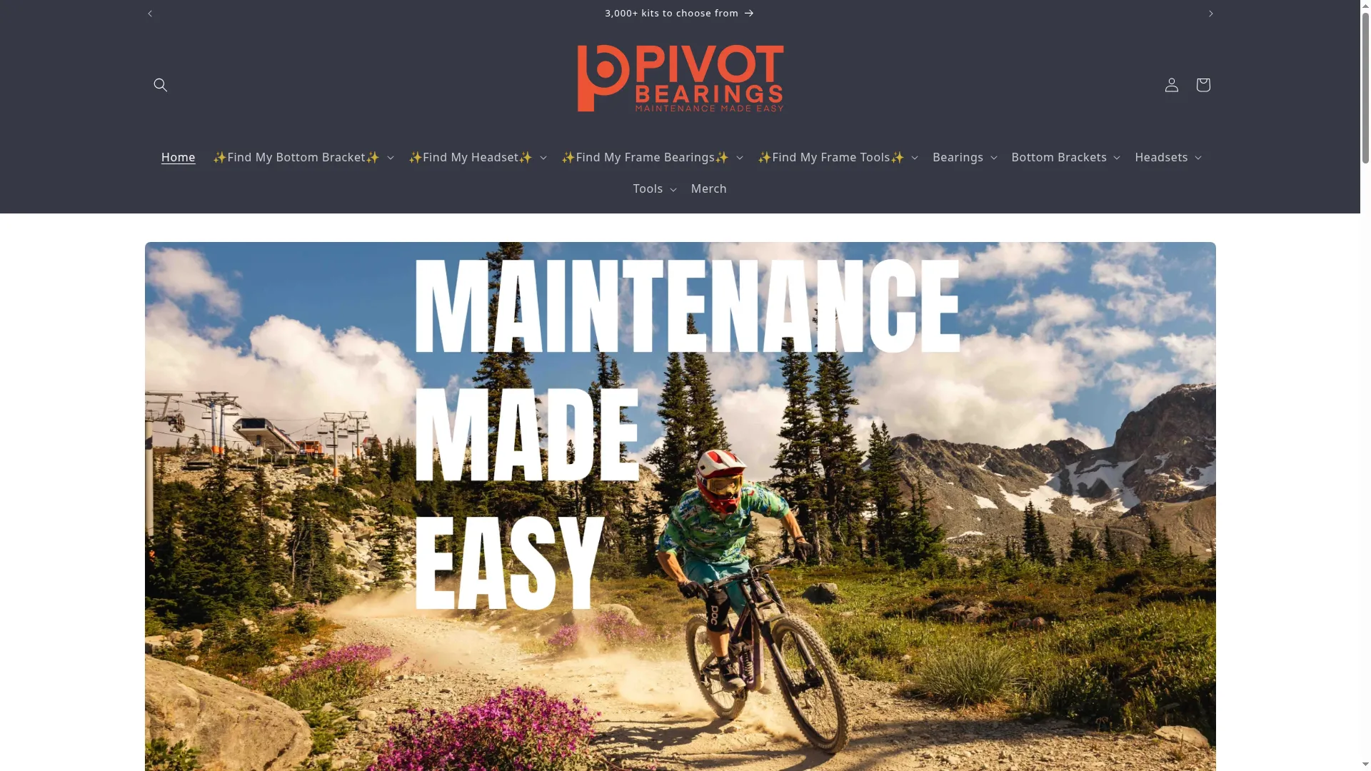 Pivotbearings.com