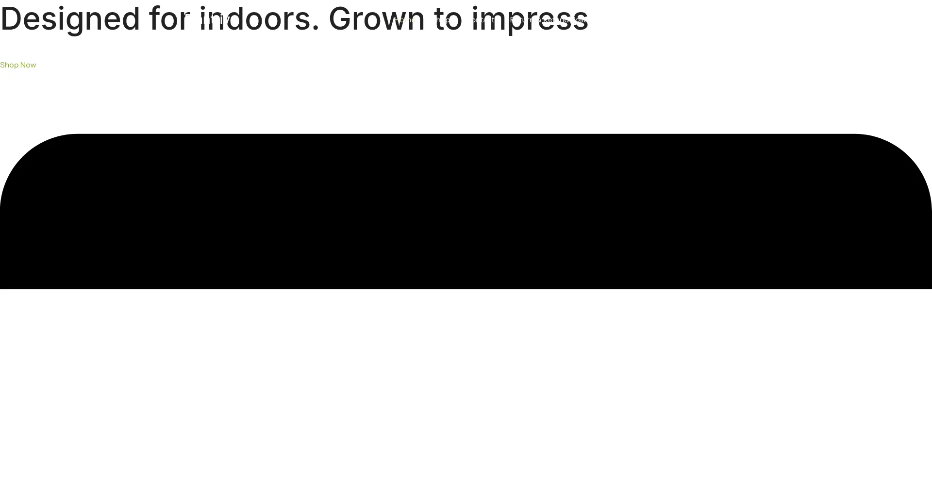 Plantriva.com