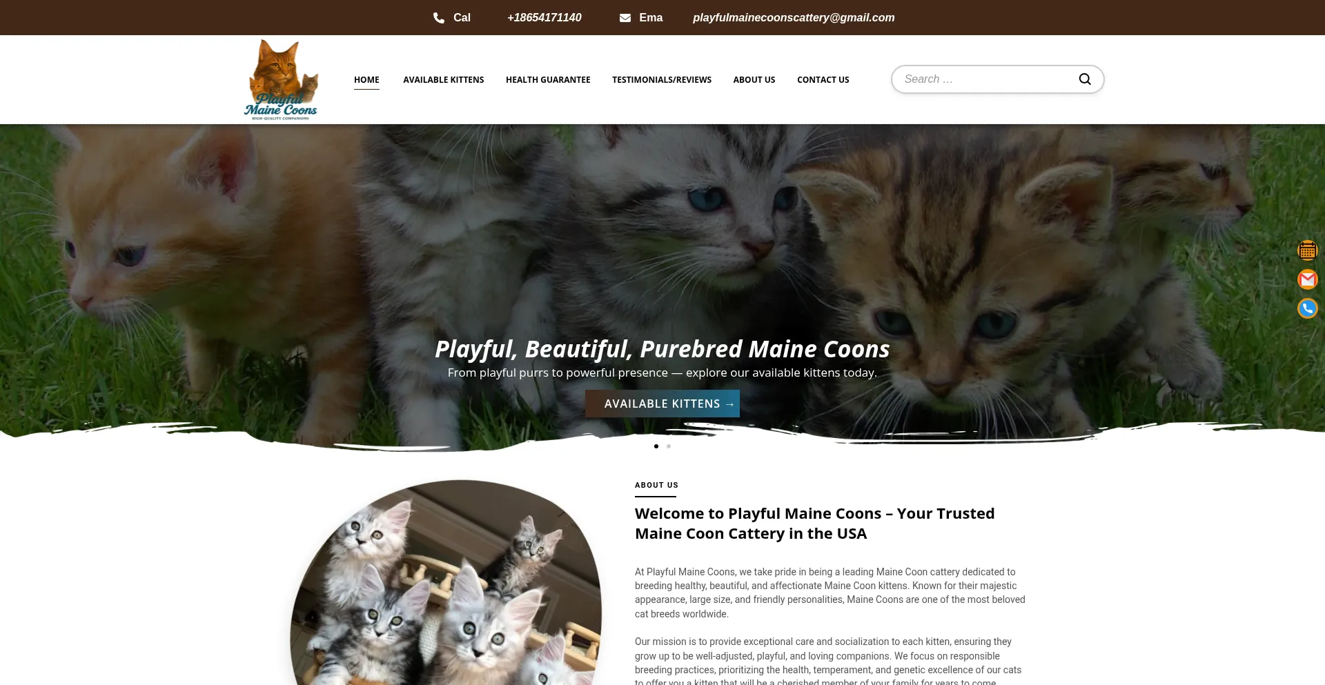 Website screenshot of Playfulmainecoons.com