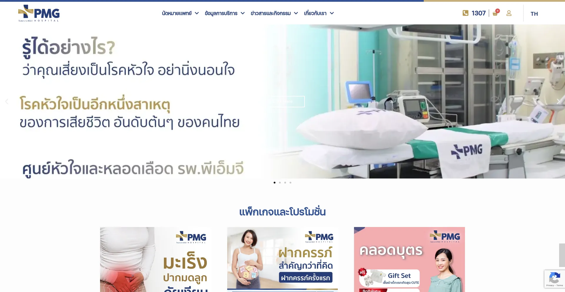 Website screenshot of Pmghospital.in.th