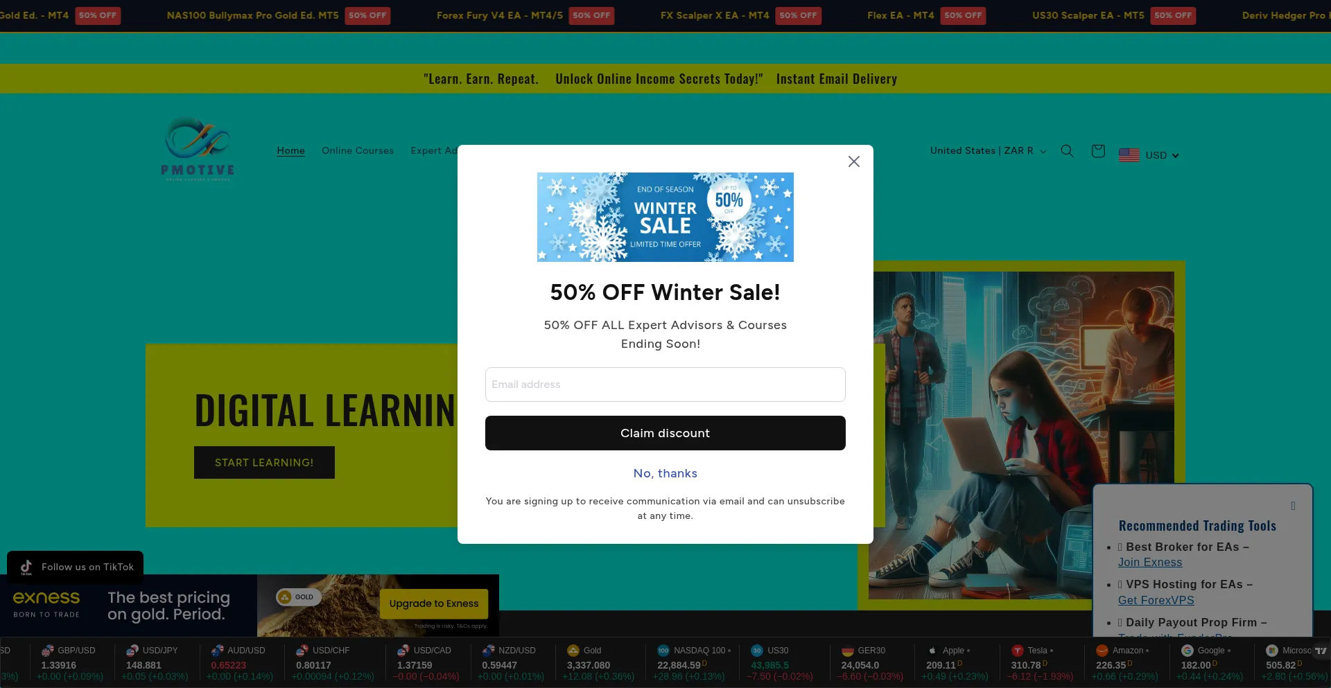 Website screenshot of Pmotive.com