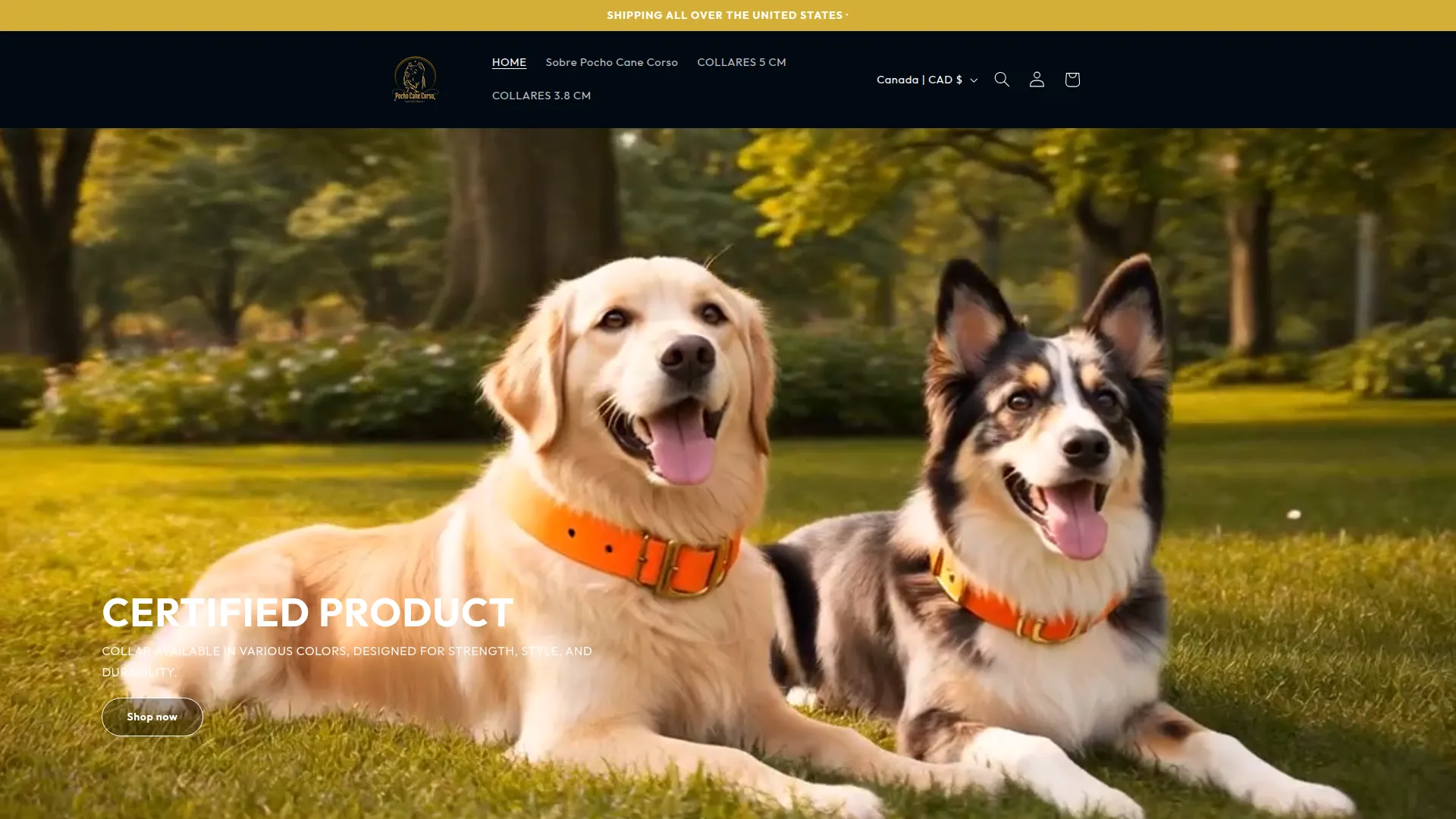 Pochocanecorso.com