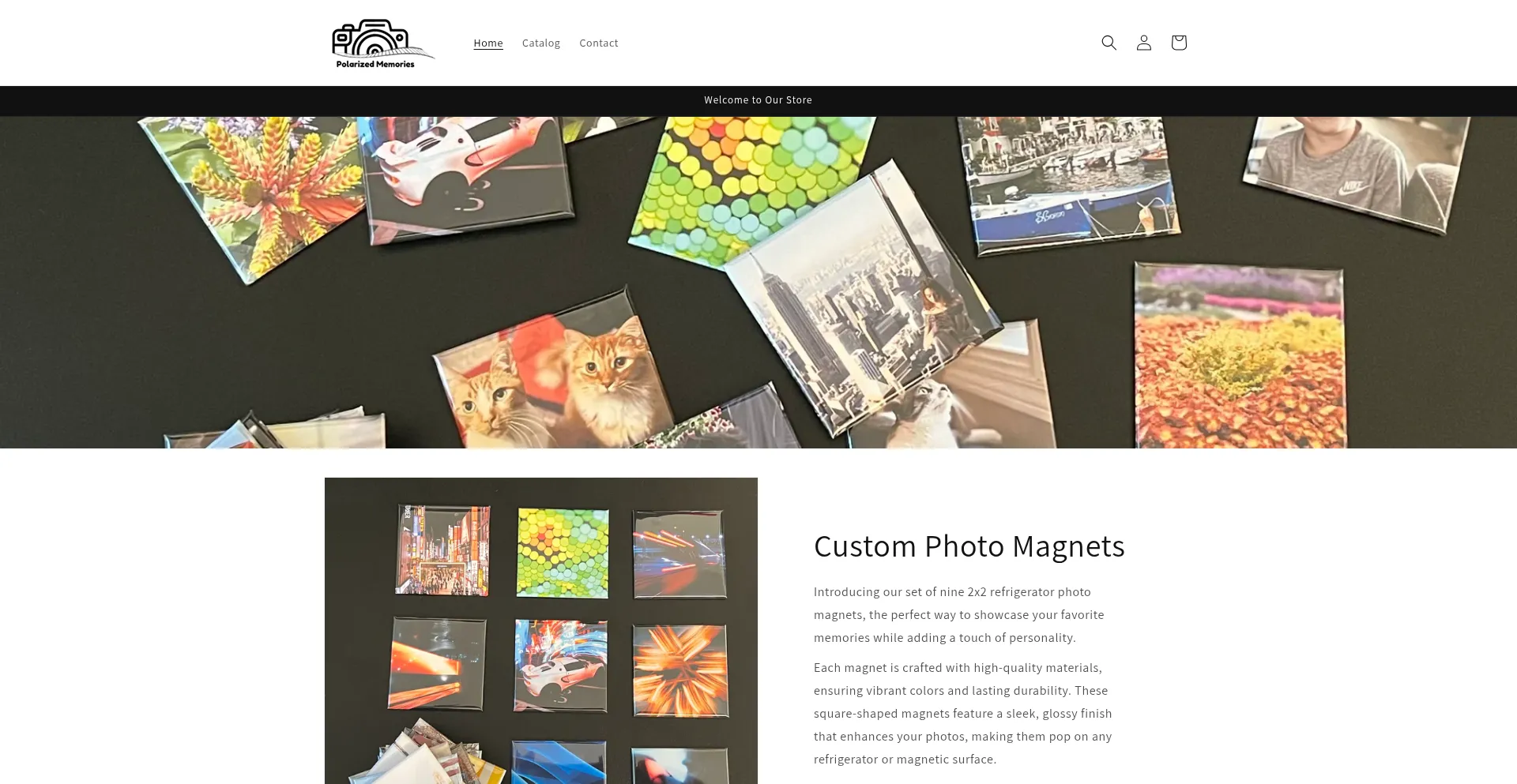 Website screenshot of Polarizedmemories.com