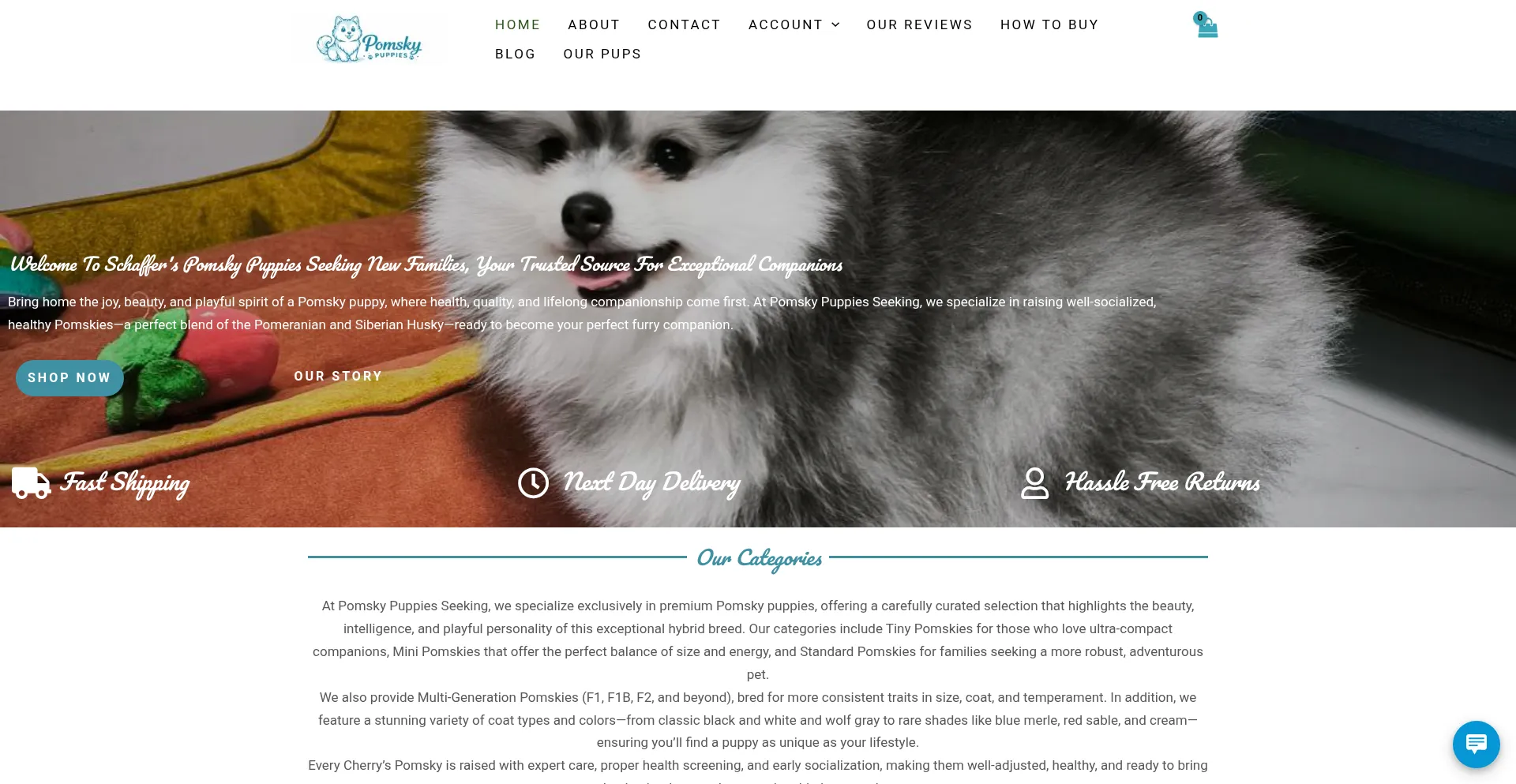 Pomskypuppieasseeking.com