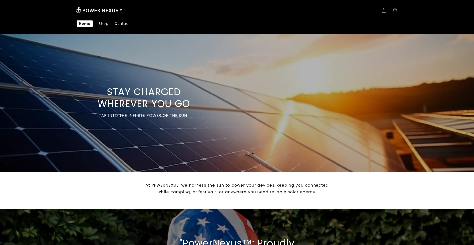 Website screenshot of Powernexussolutions.com