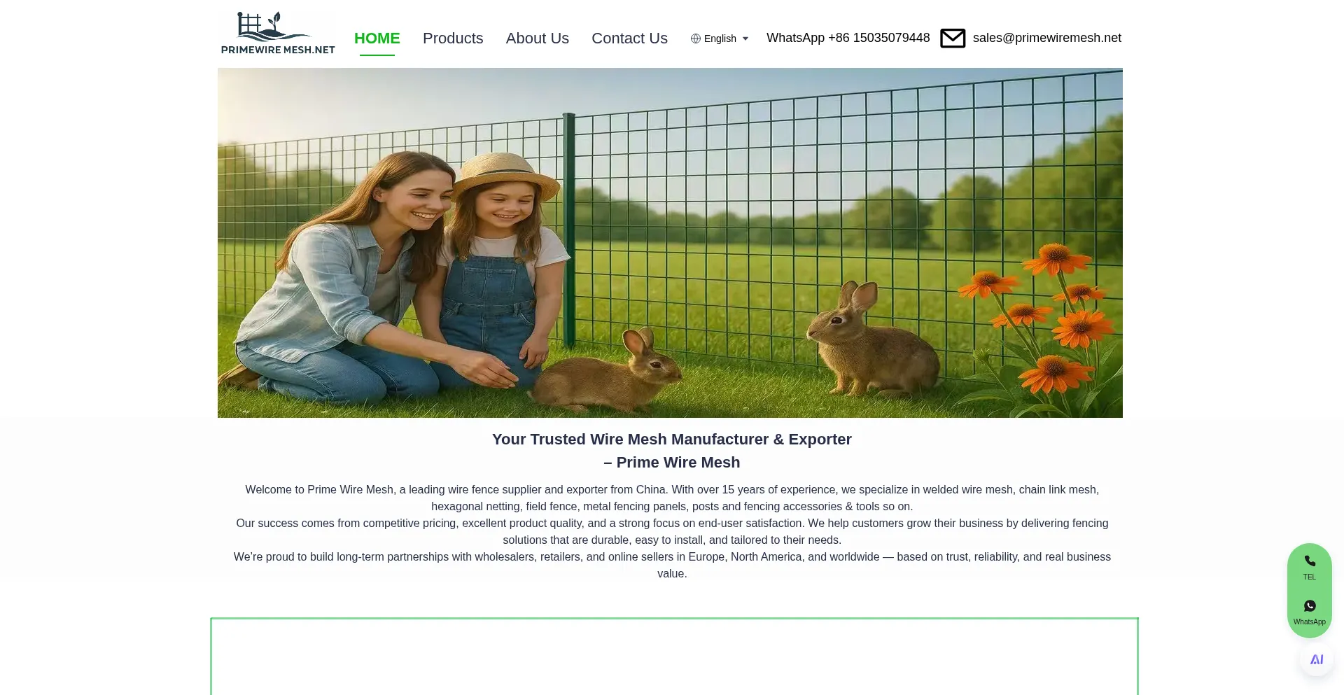 Primewiremesh.net