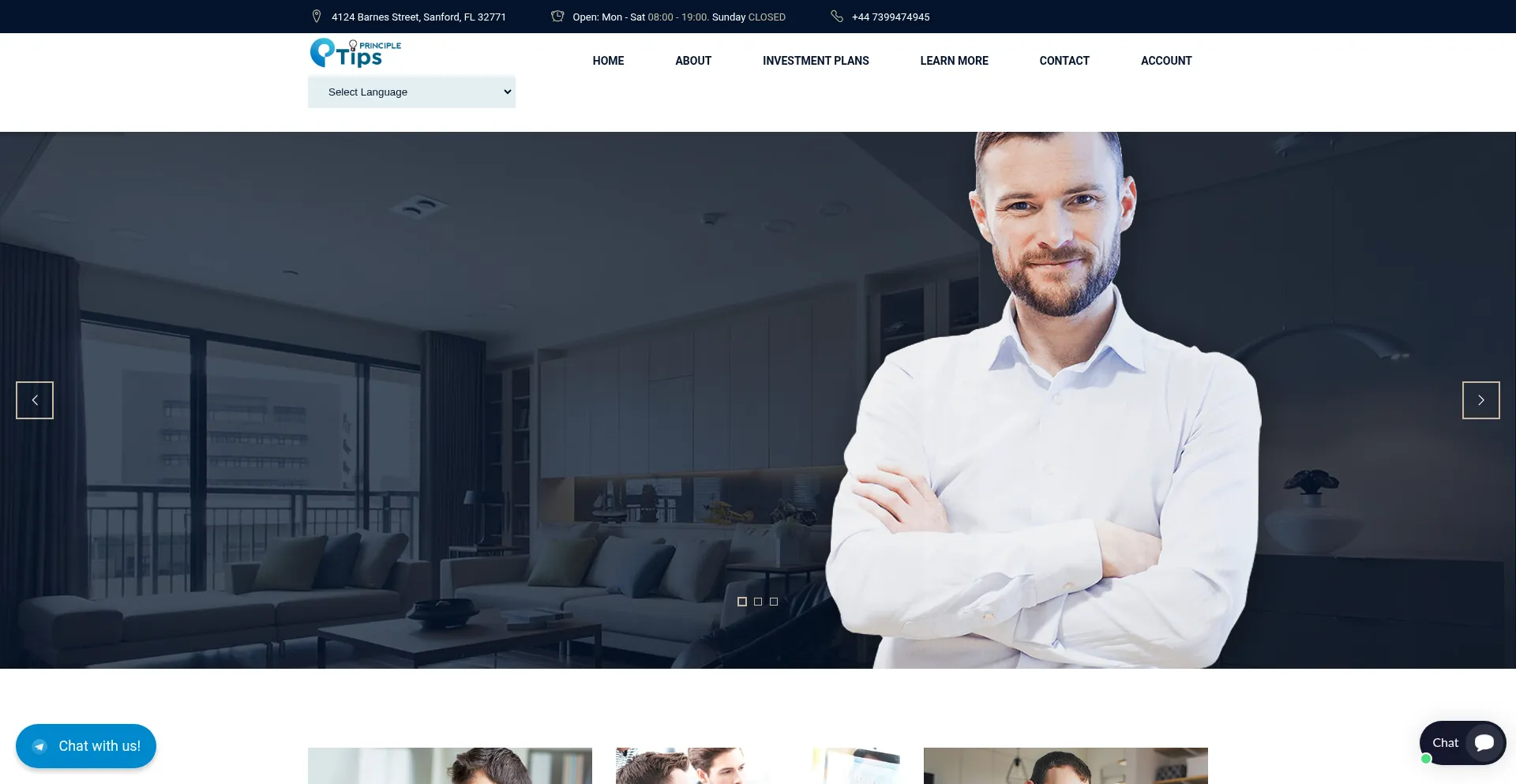 Website screenshot of Principletips.com