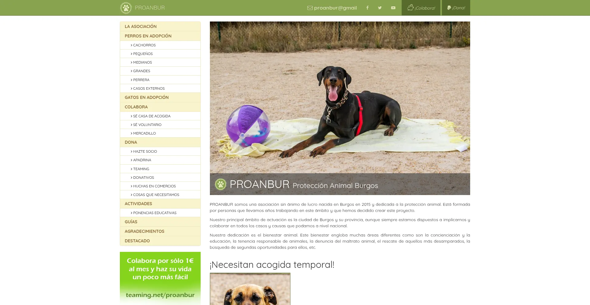 Proanbur.com é Seguro e Confiável?