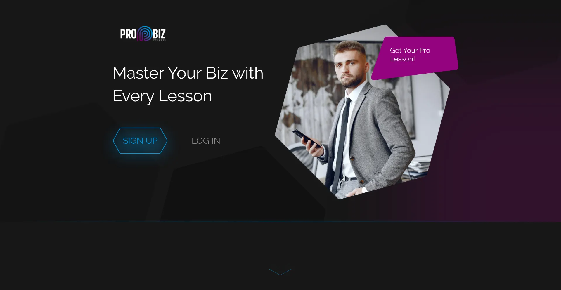 Website screenshot of Probizlessons.com