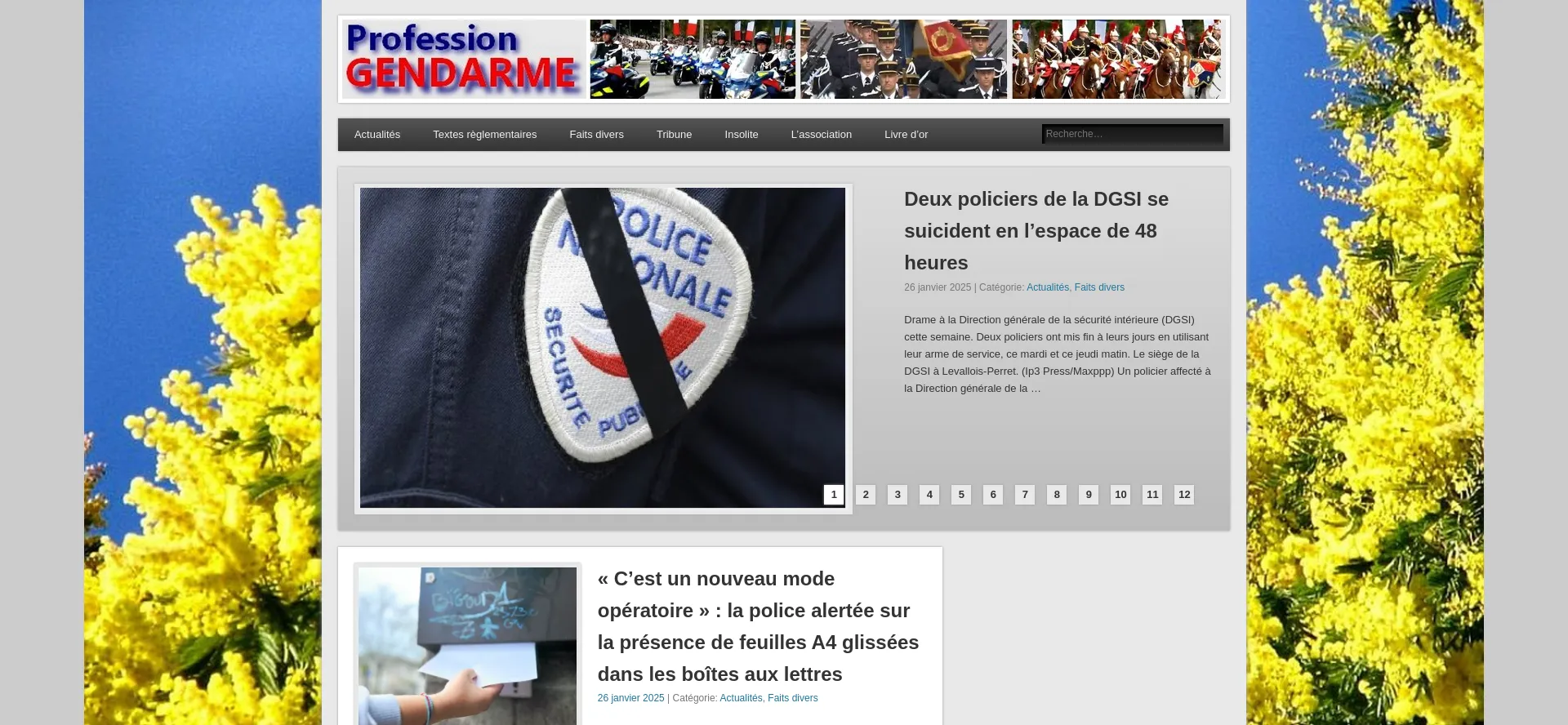 Profession-gendarme.com