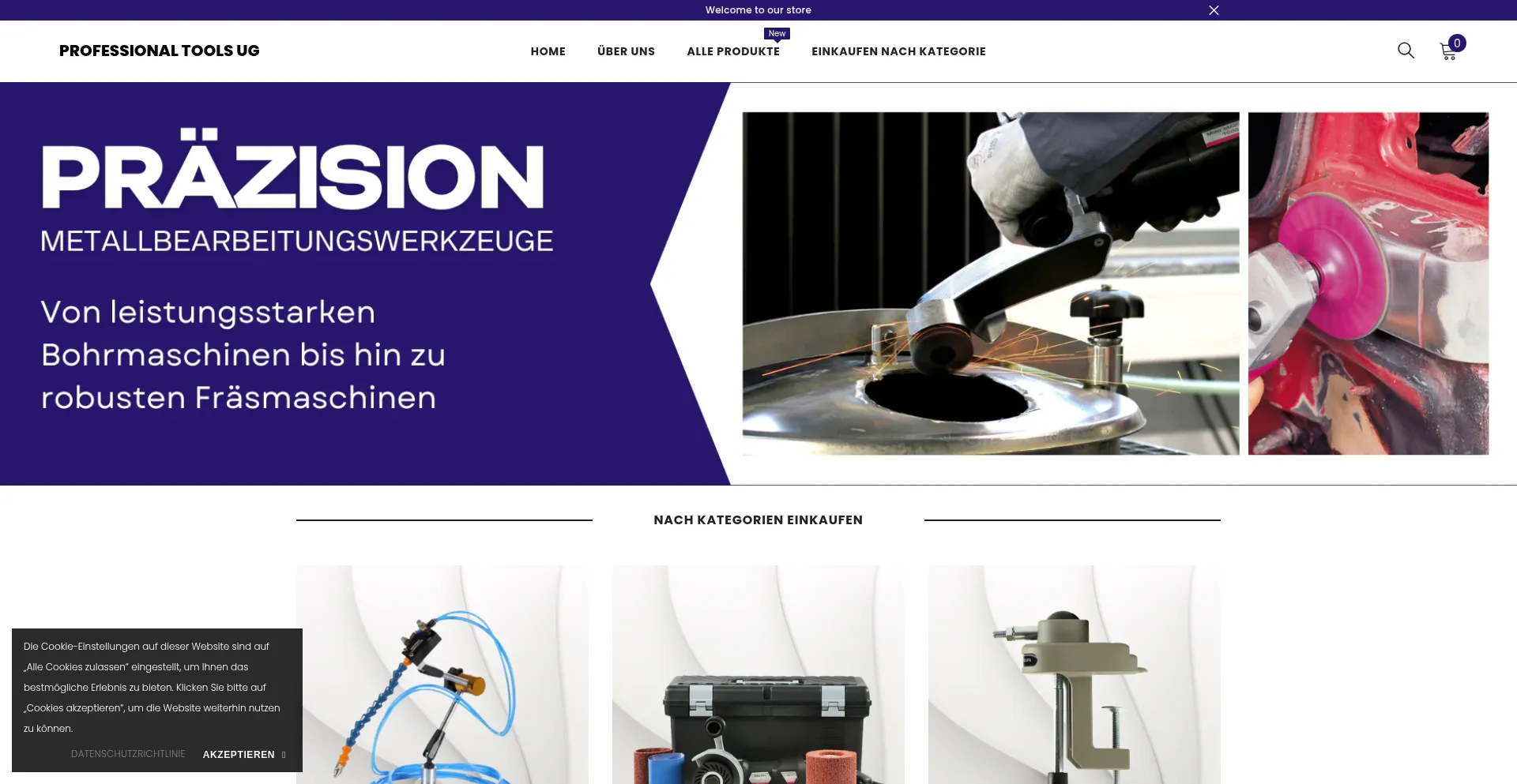 Website screenshot of Professional-tools.net