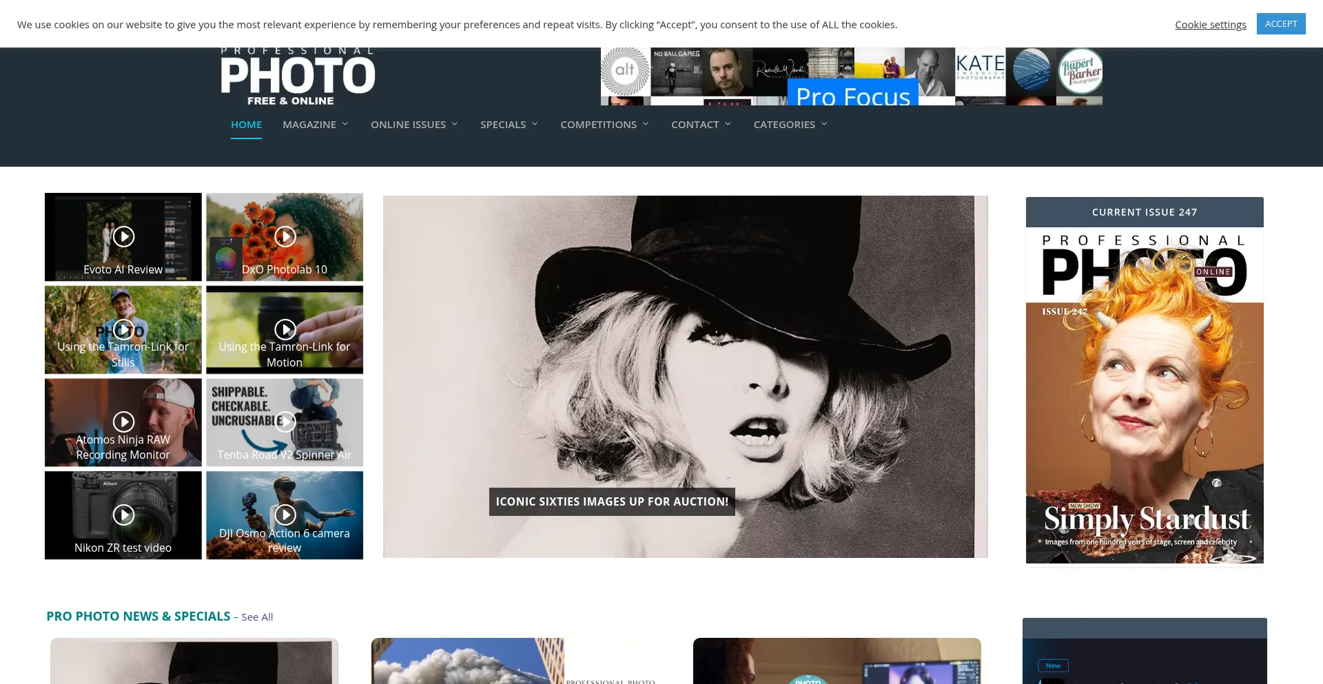 Professionalphoto.online
