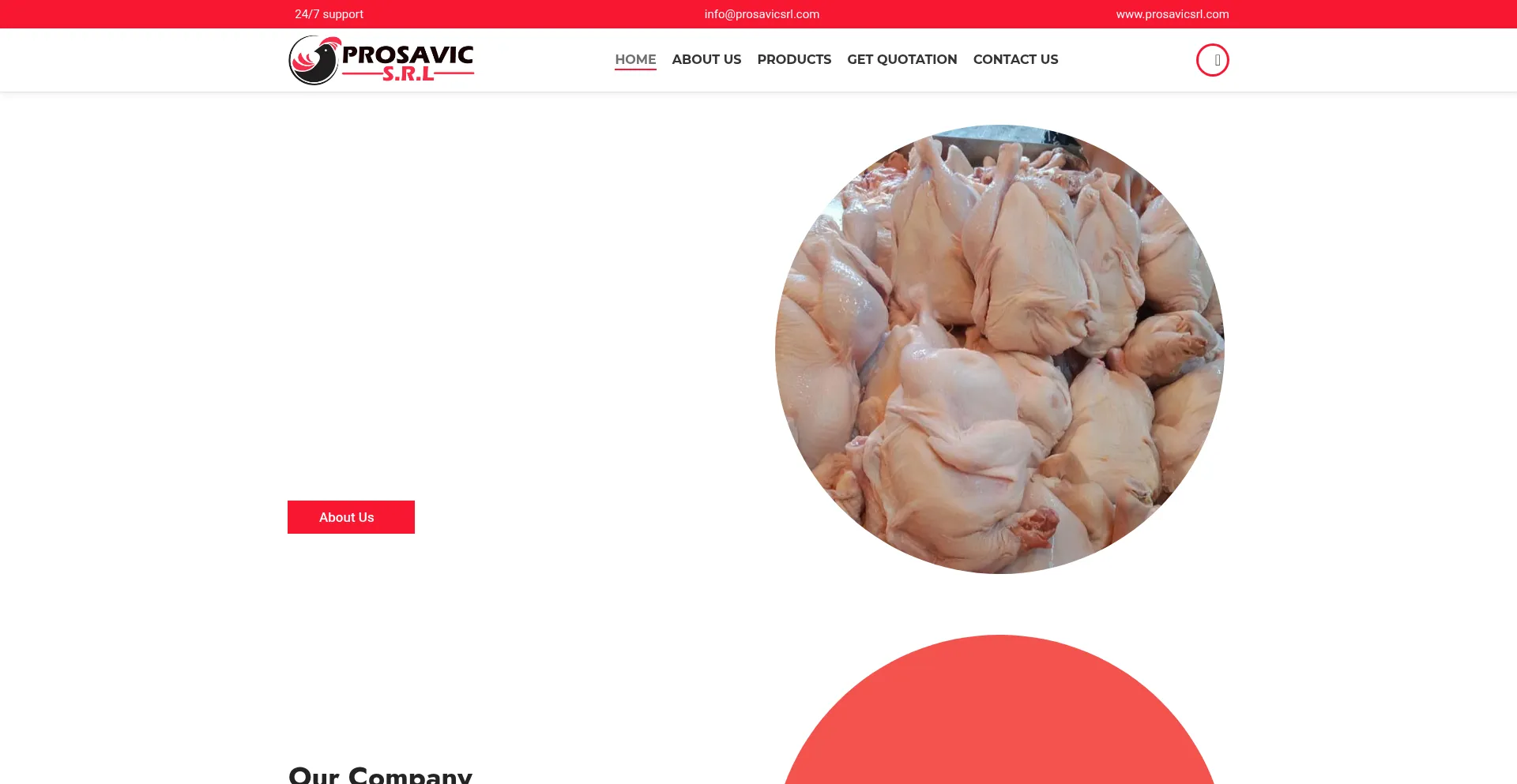 Website screenshot of Prosavicsrl.com