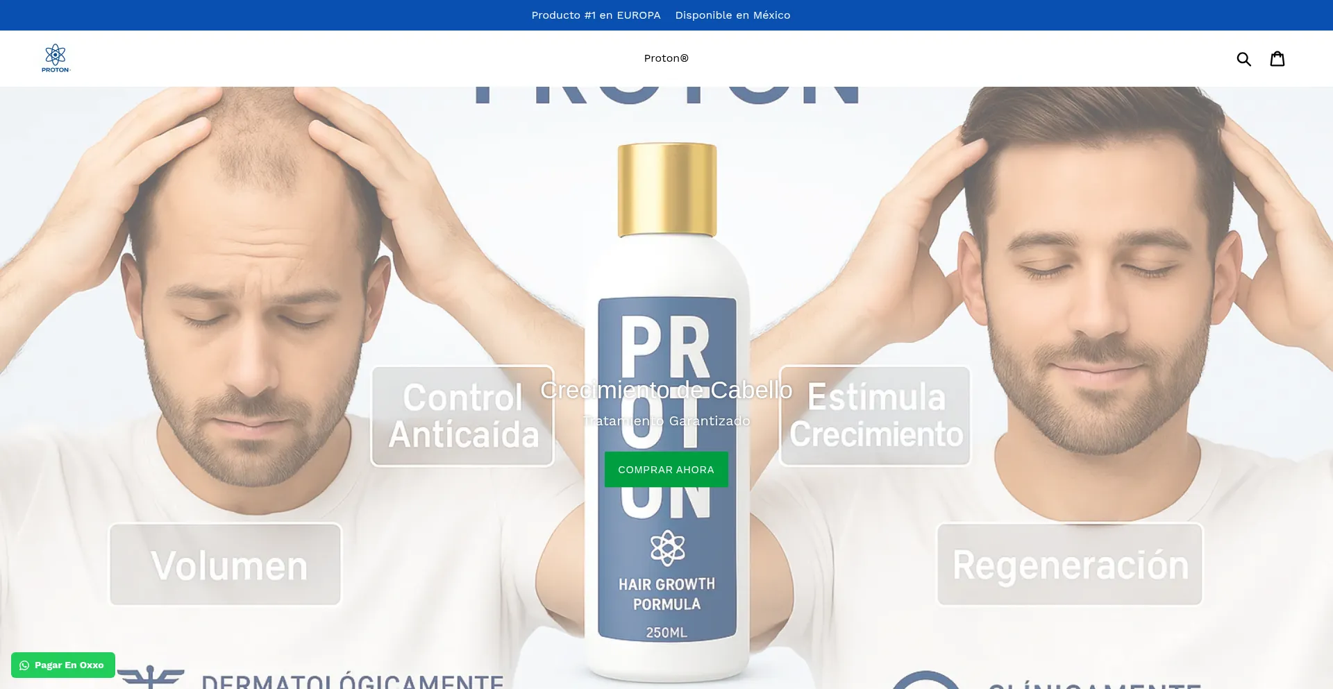 Website screenshot of Protonmx.com