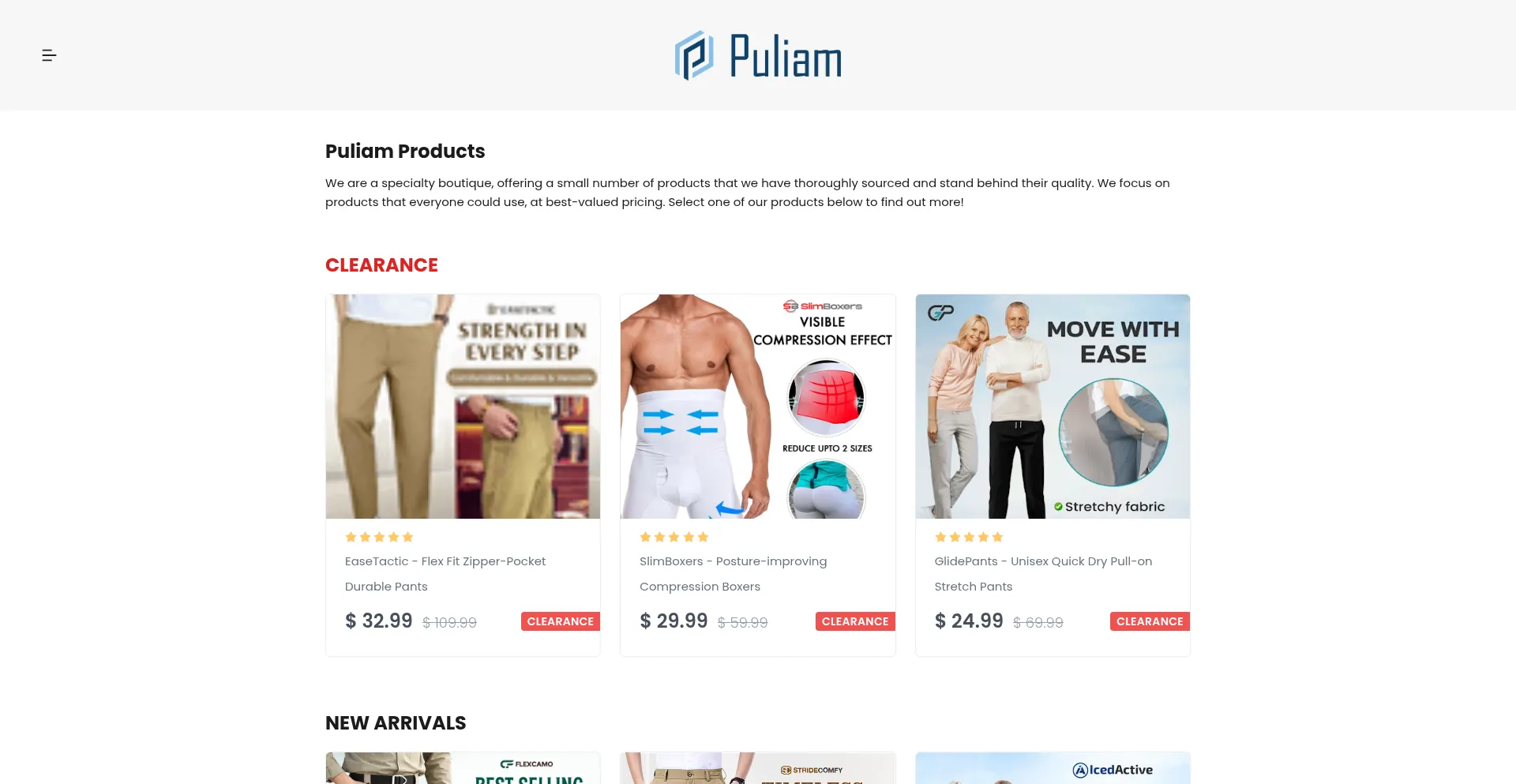 Website screenshot of Puliam.com