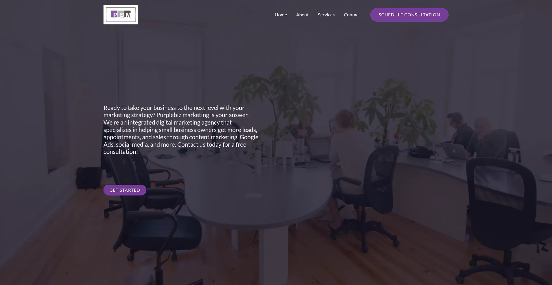 Website screenshot of Purplebizmarketing.com