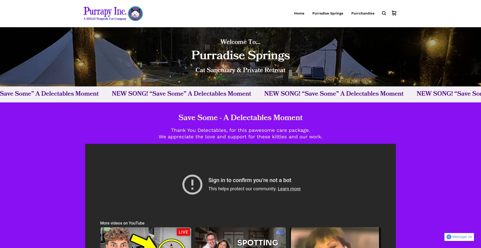 Purradisesprings.com