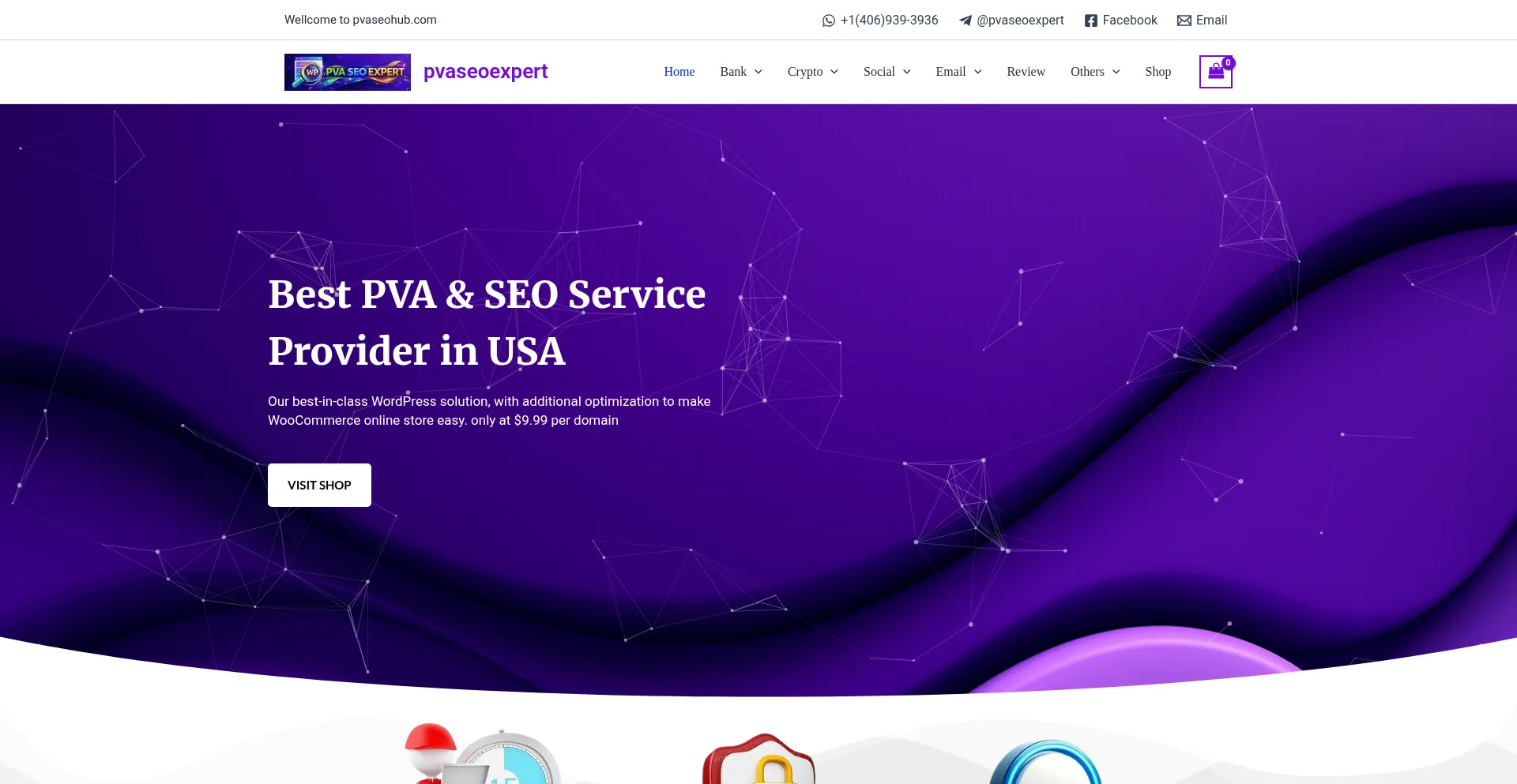 Pvaseoexpert.com