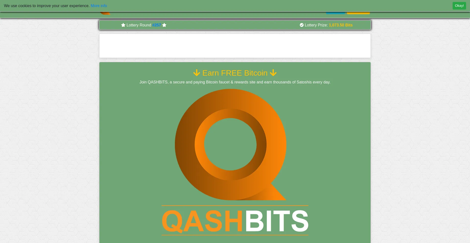 Website screenshot of Qashbits.com