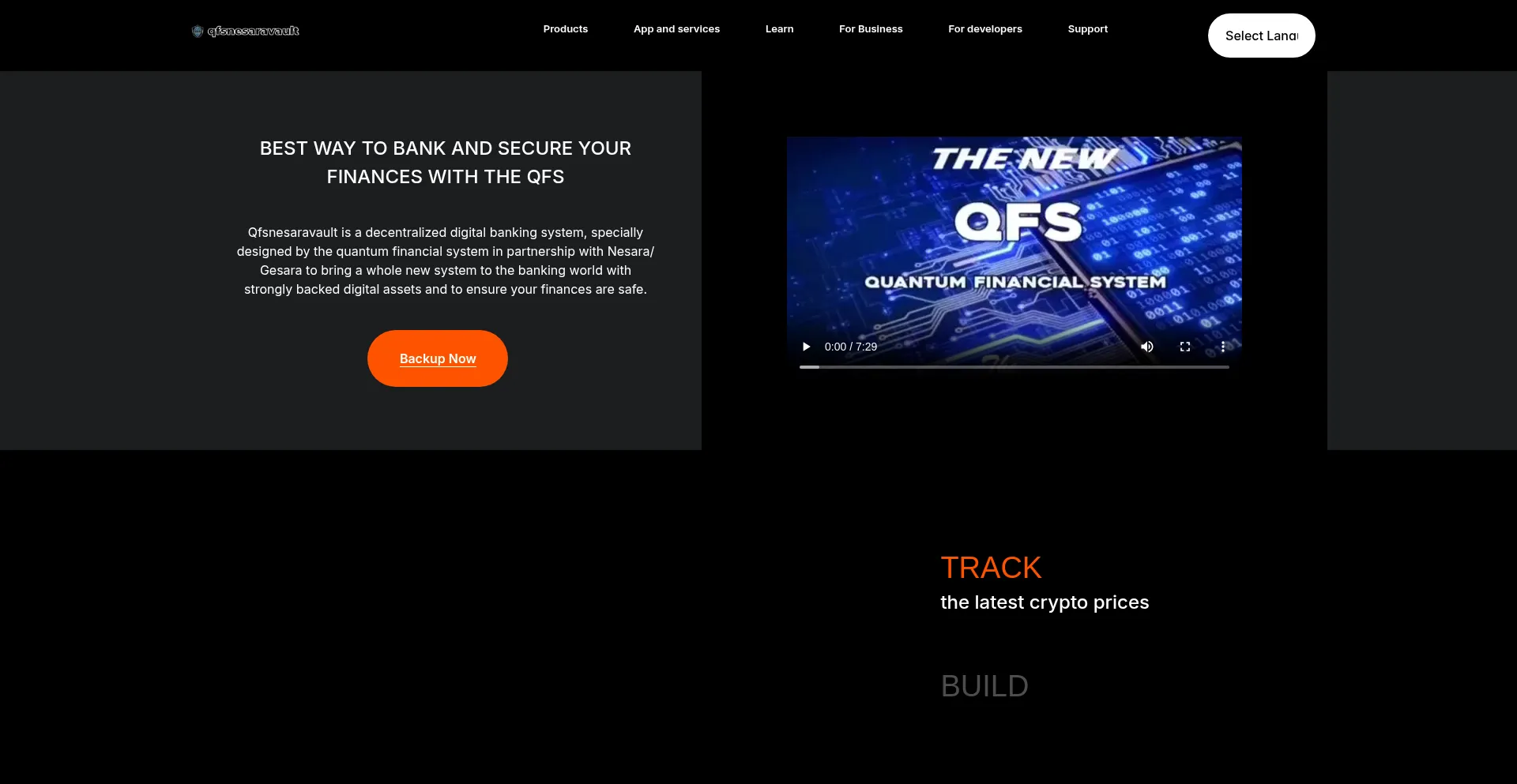 Website screenshot of Qfsnesaravault.org