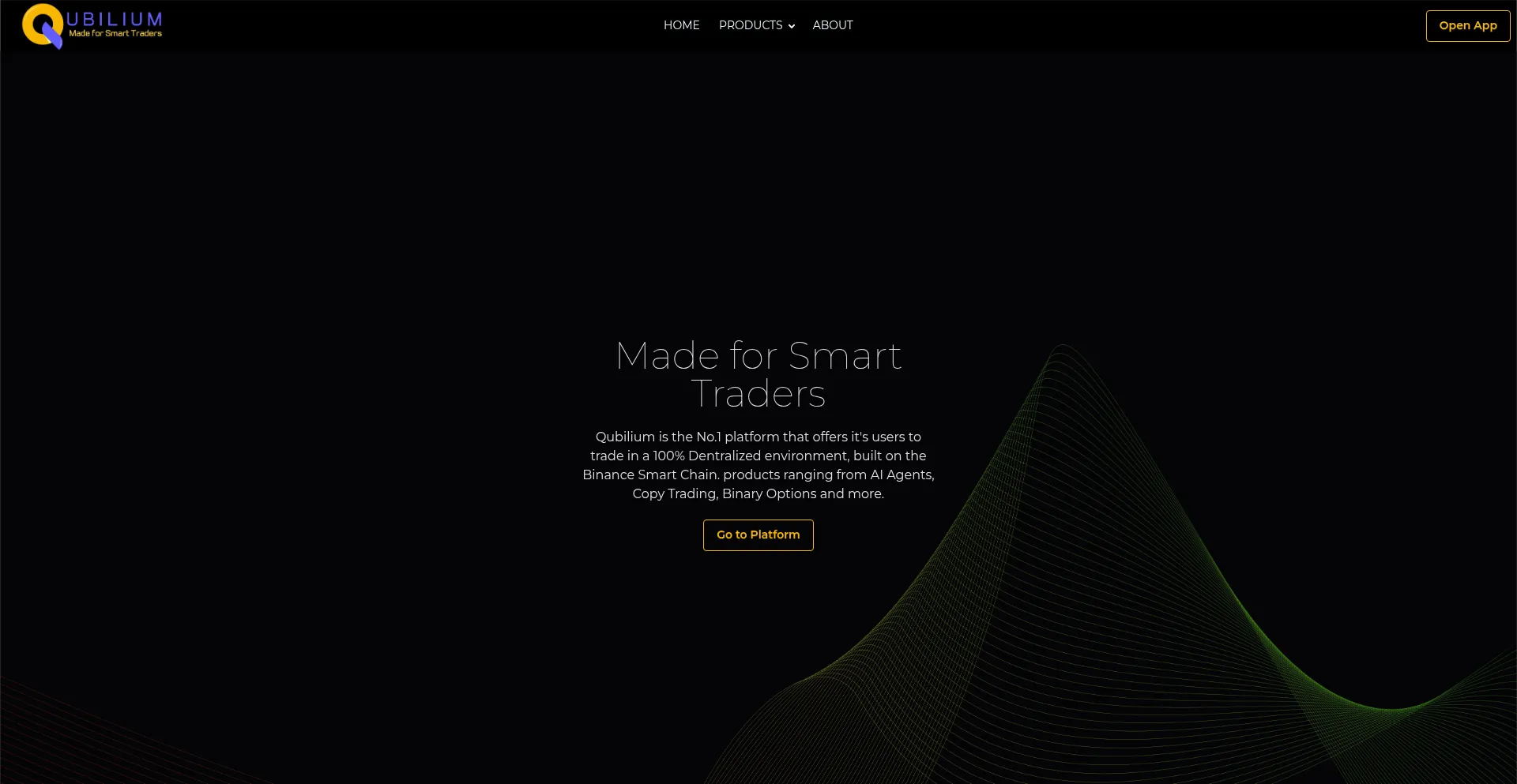 Website screenshot of Qubilium.com