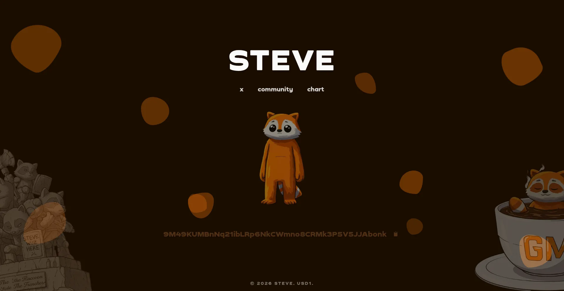 Raccoonsteve.fun