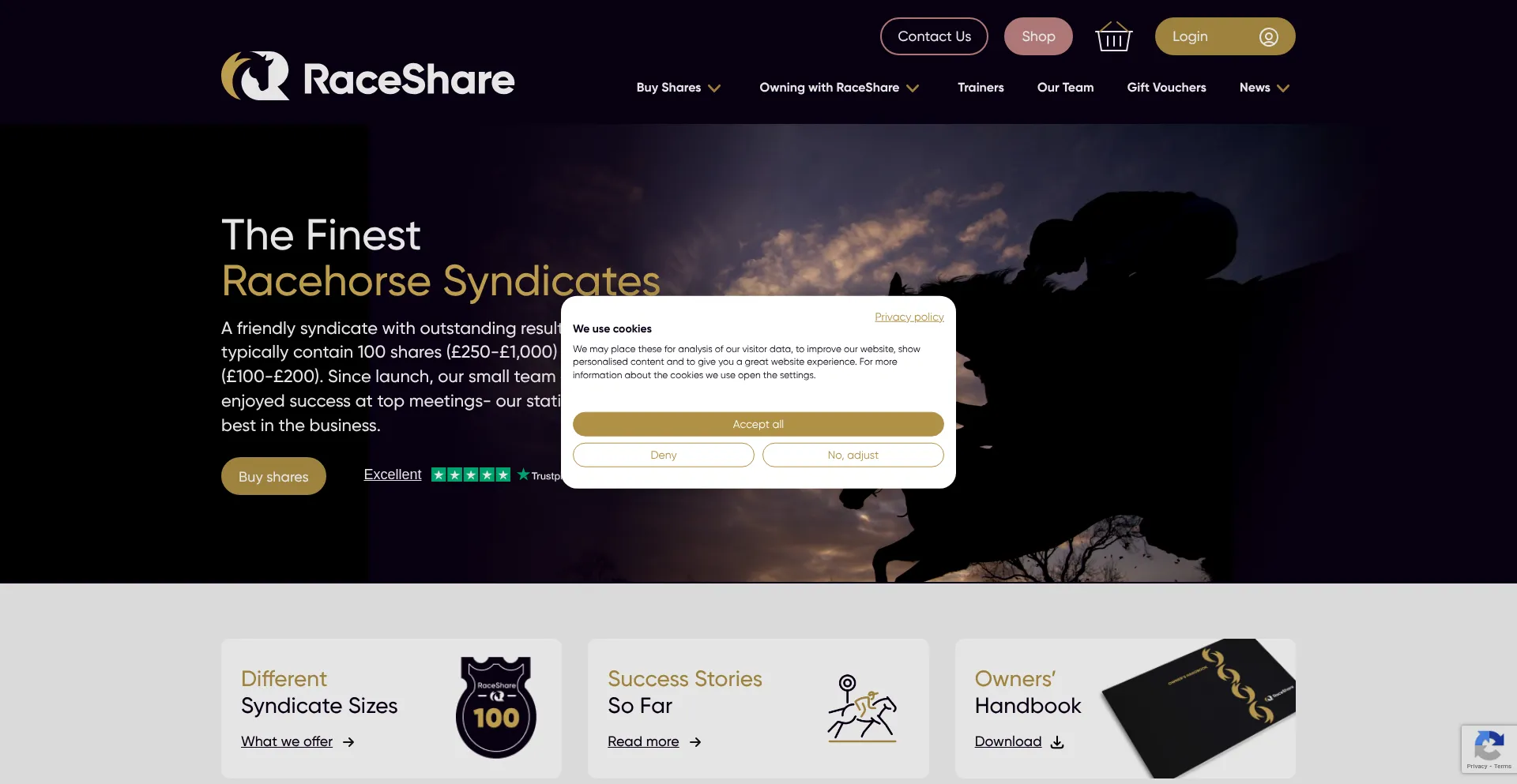 Raceshare.com Screenshot