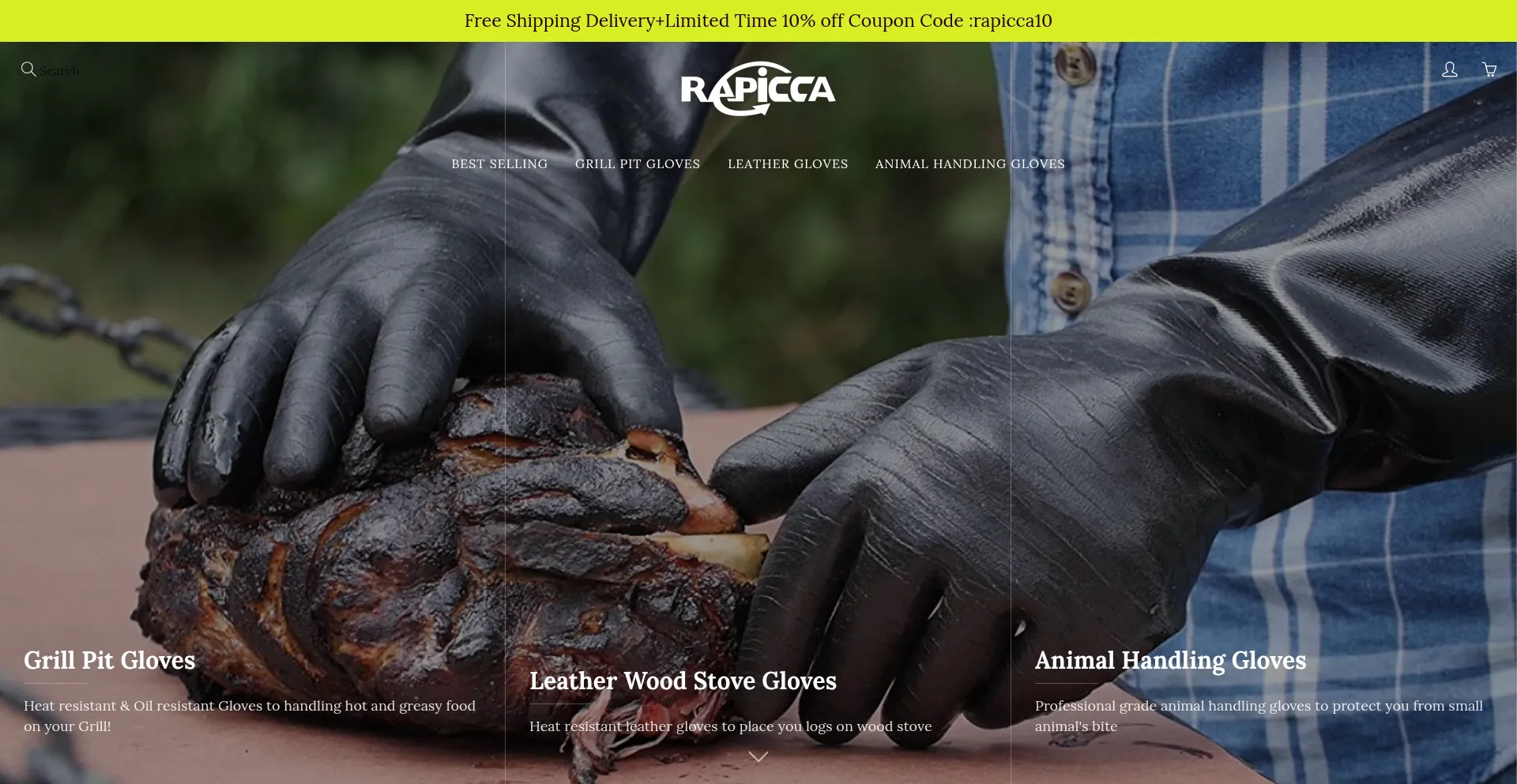 Website screenshot of Rapicca.com