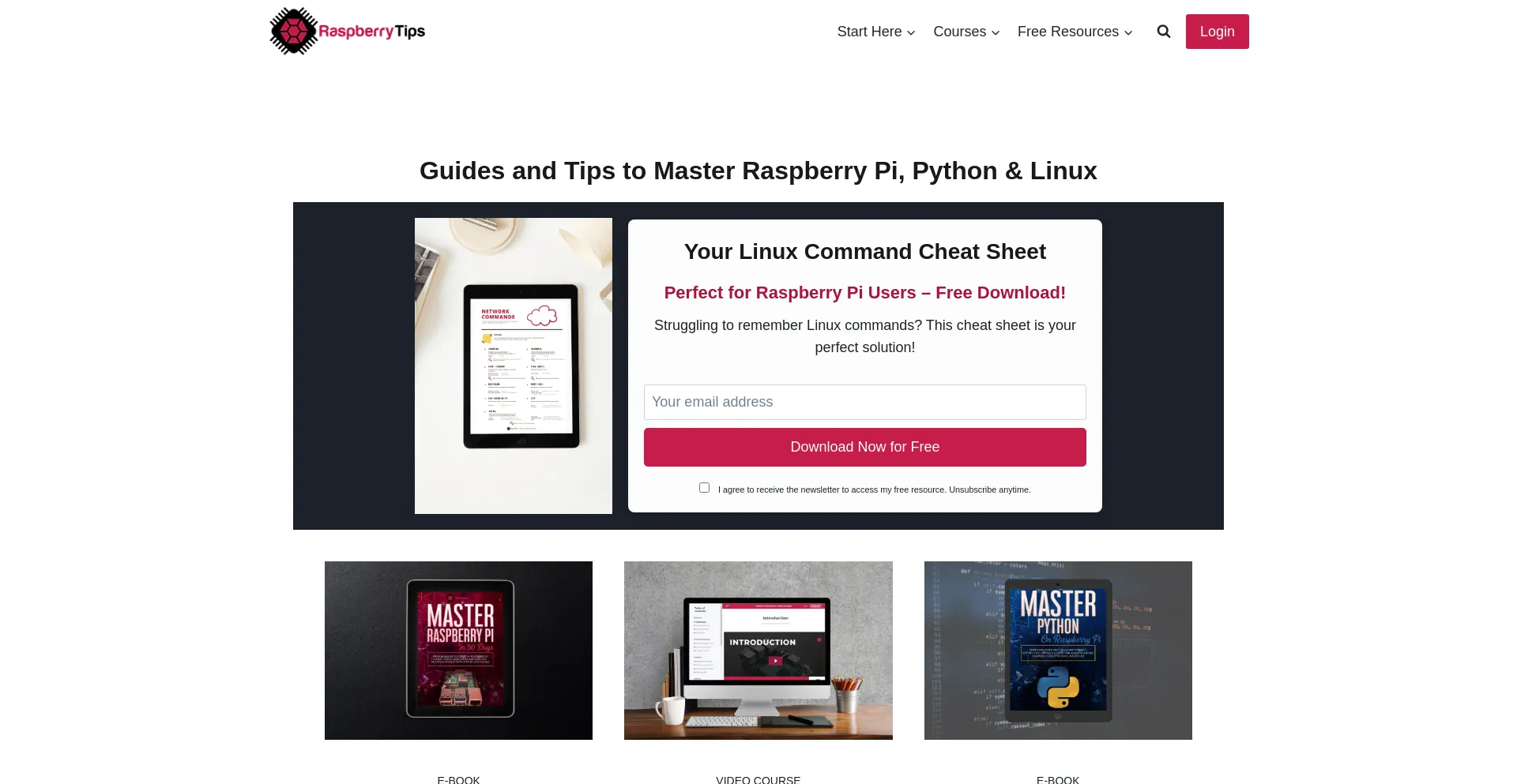 Website screenshot of Raspberrytips.com
