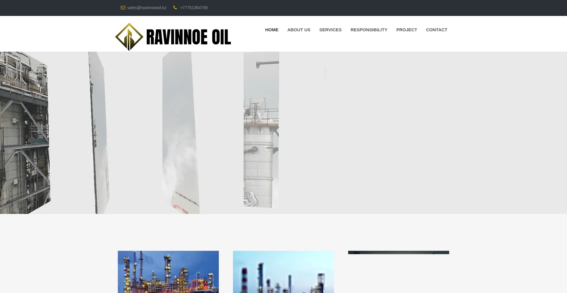 Website screenshot of Ravinnoeoil.kz