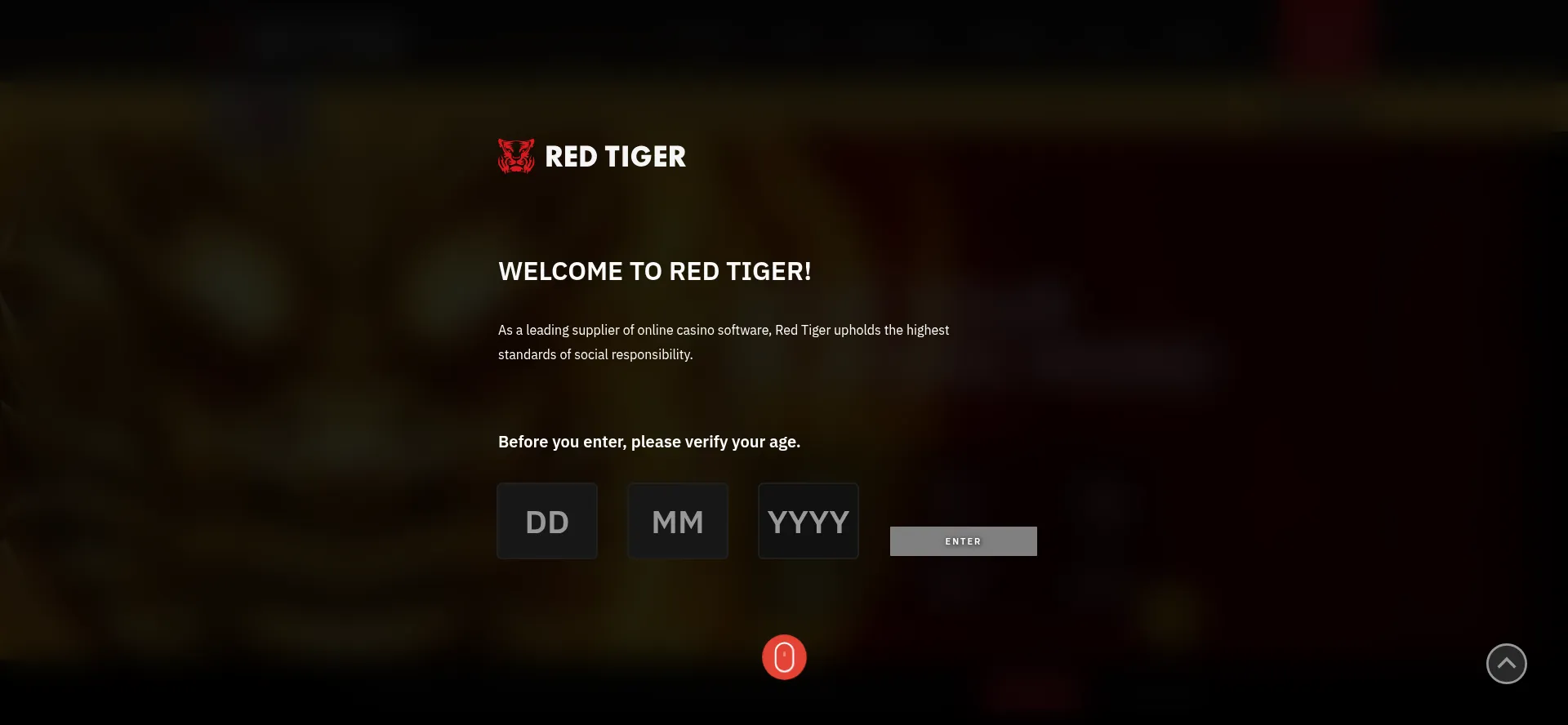 Redtiger.com é Seguro e Confiável?