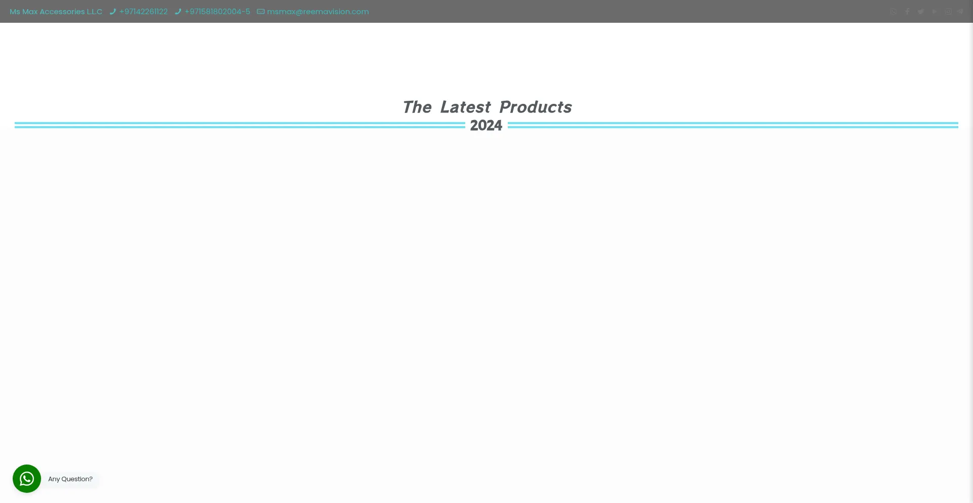 Website screenshot of Reemavision.com