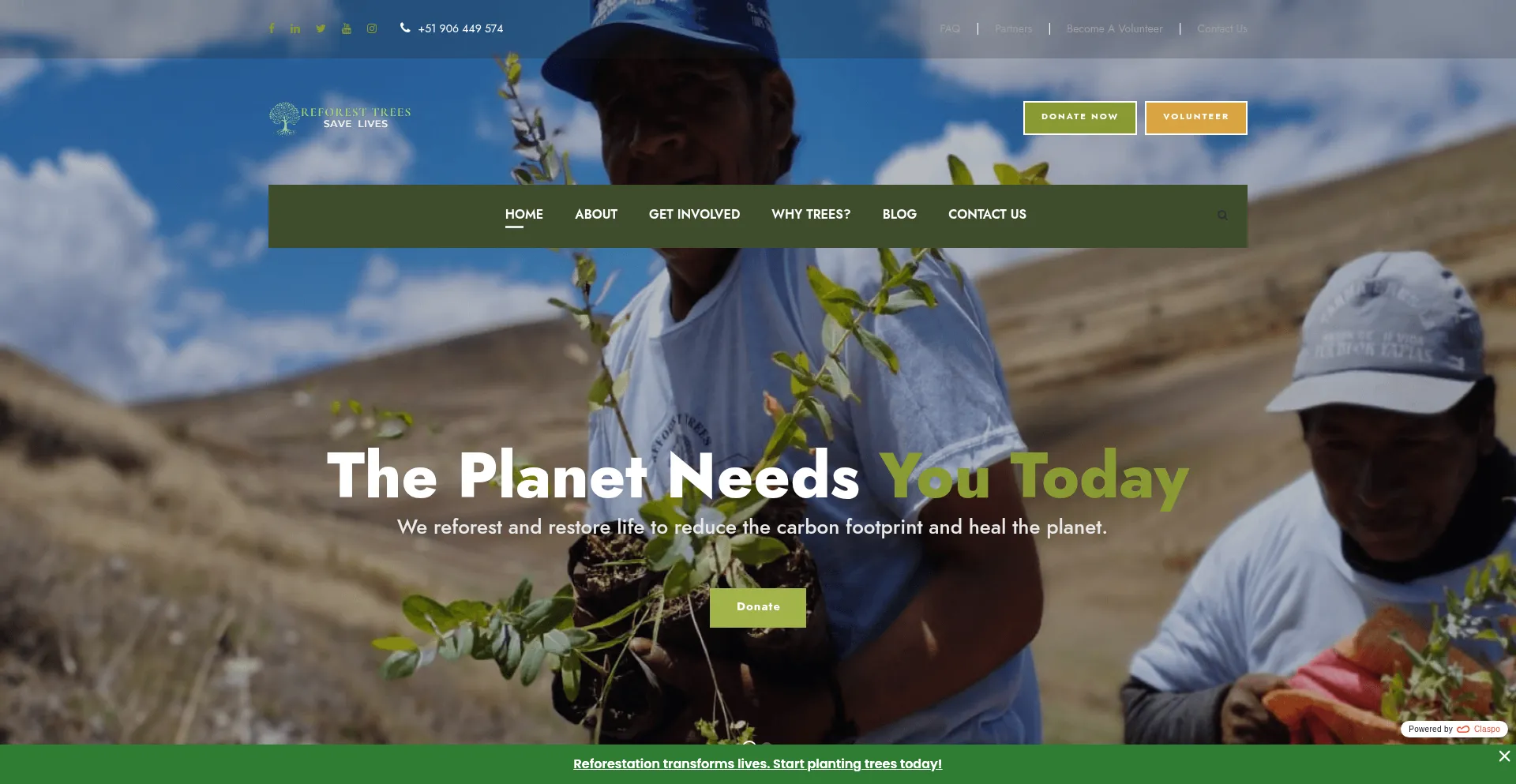 Reforestrees.org é Seguro e Confiável?