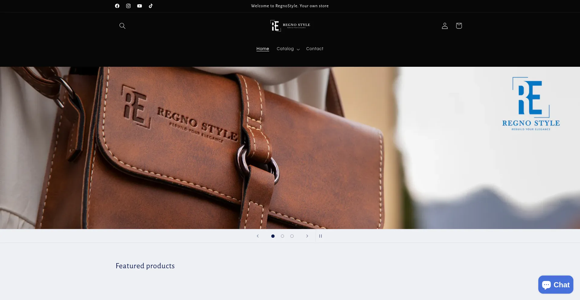 Website screenshot of Regnostyle.com