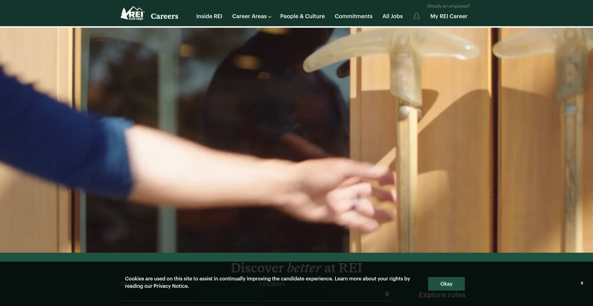 Website screenshot of Rei.jobs