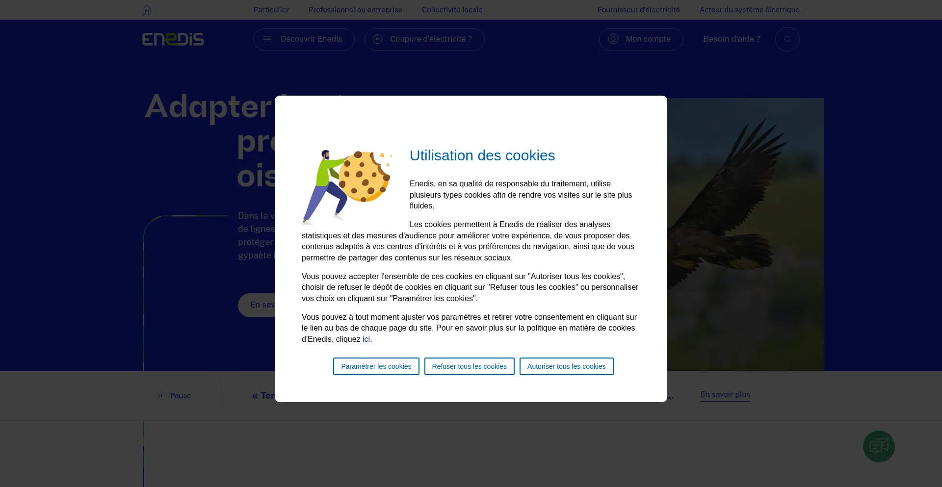 Relation-client-enedis.fr