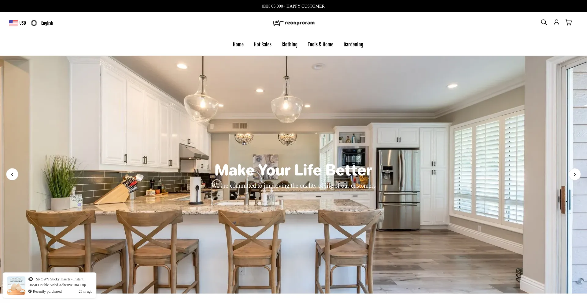 Website screenshot of Reonproram.com