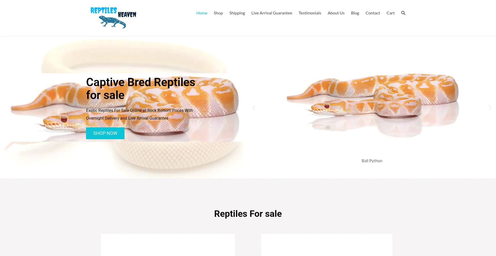 Reptilesheaven.com