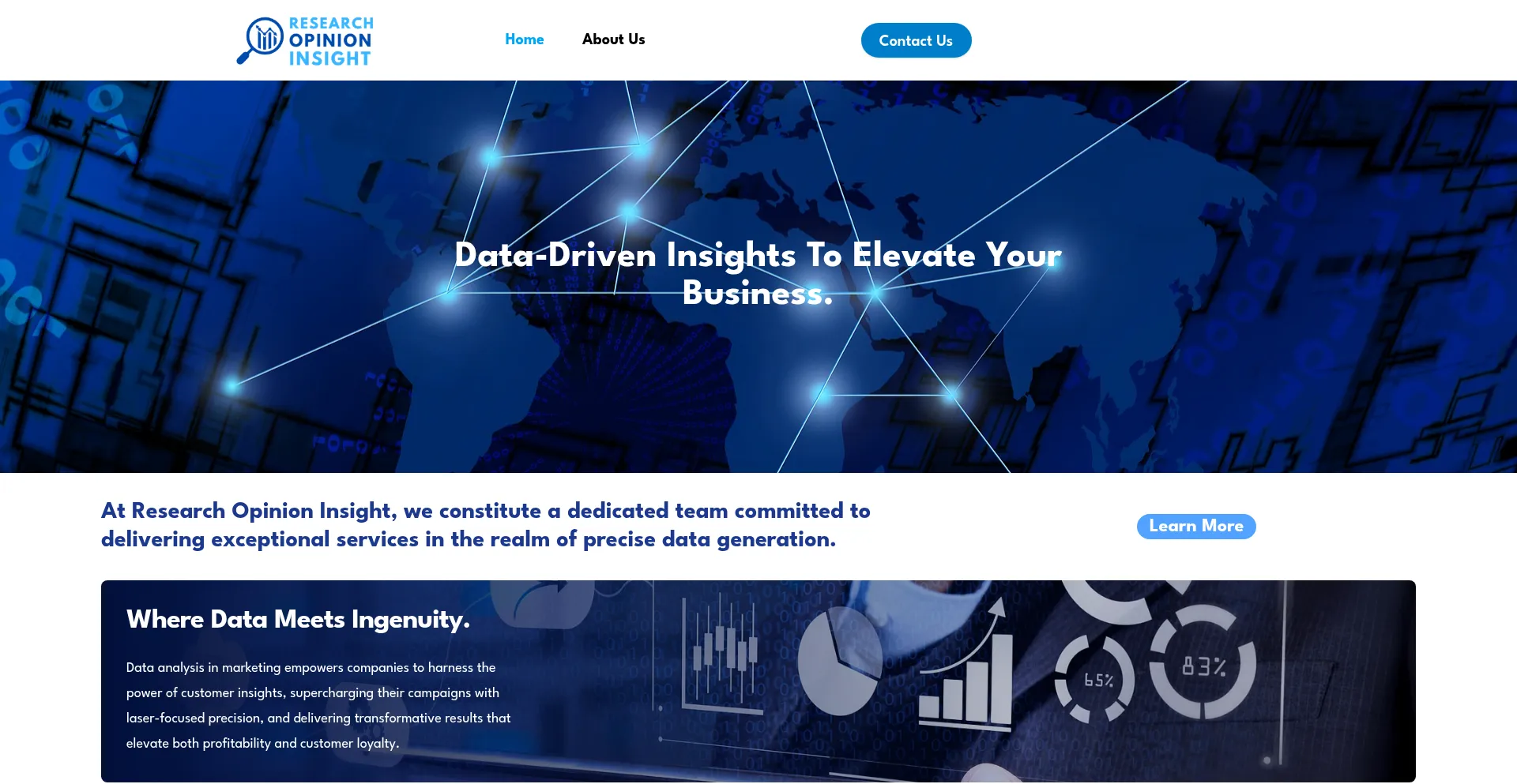 Researchopinioninsight.com