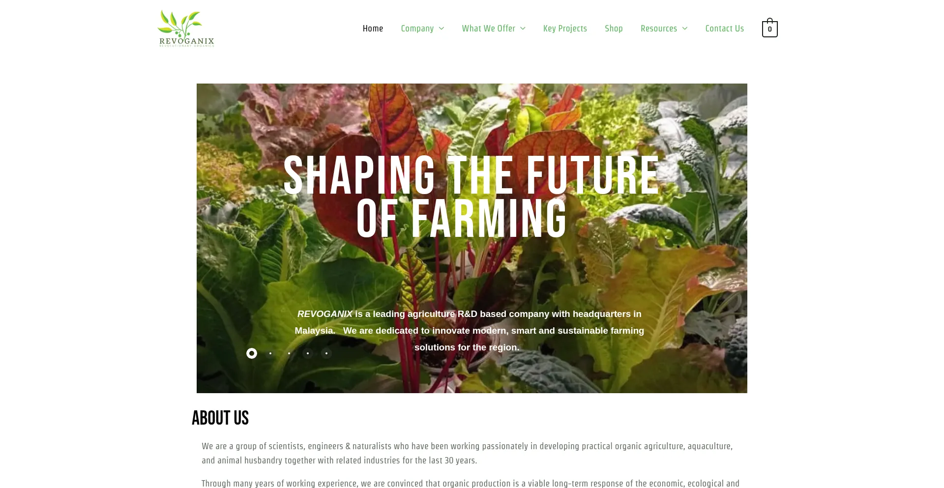 Website screenshot of Revoganix.com