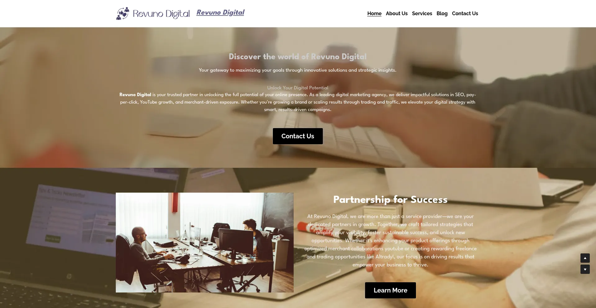 Website screenshot of Revunodigital.com