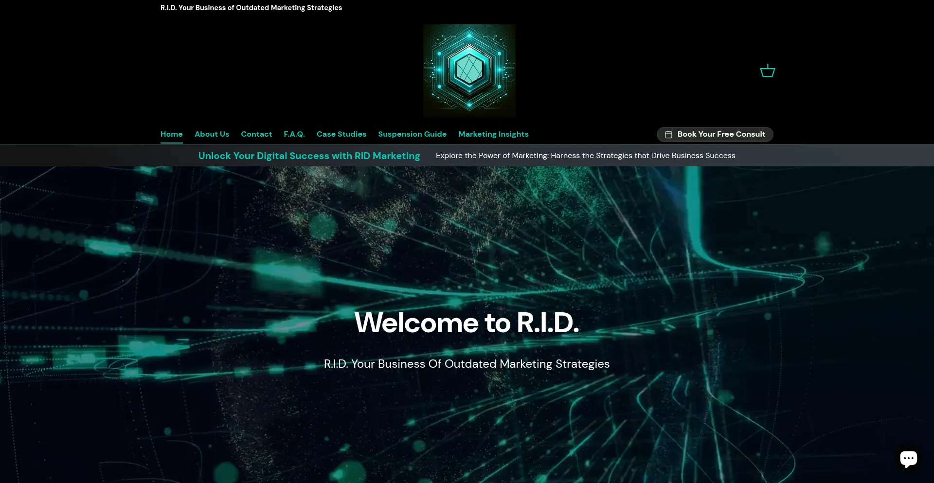 Website screenshot of Ridofmysuspension.com