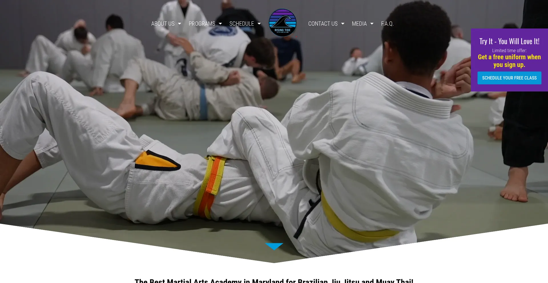 Risingtidemartialarts.us é Seguro e Confiável?