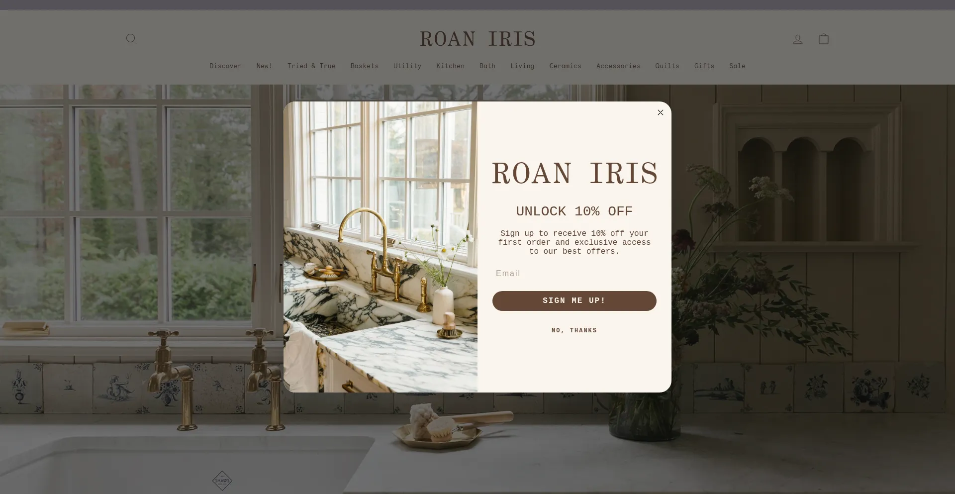 Roaniris.co
