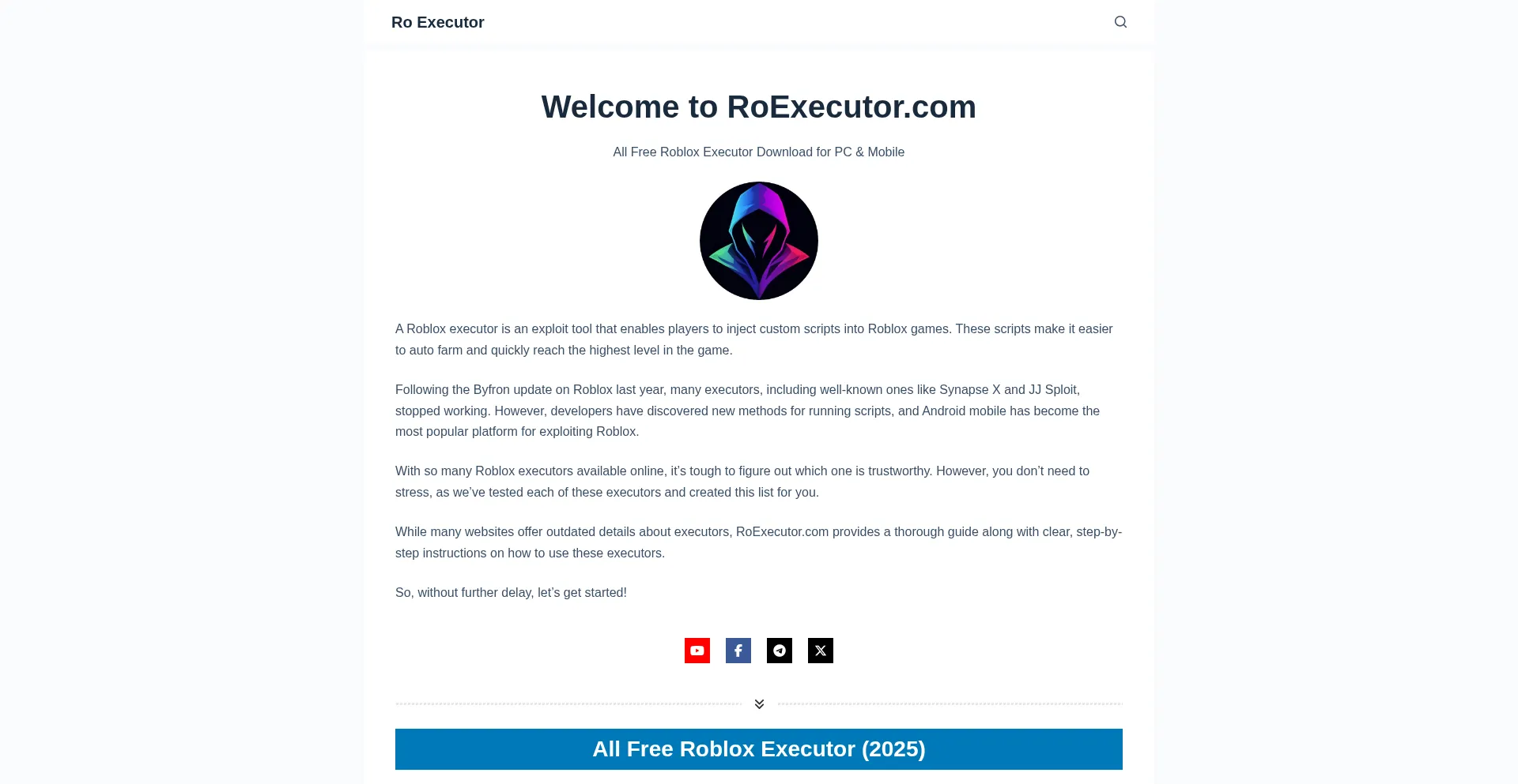 Website screenshot of Roexecutor.com