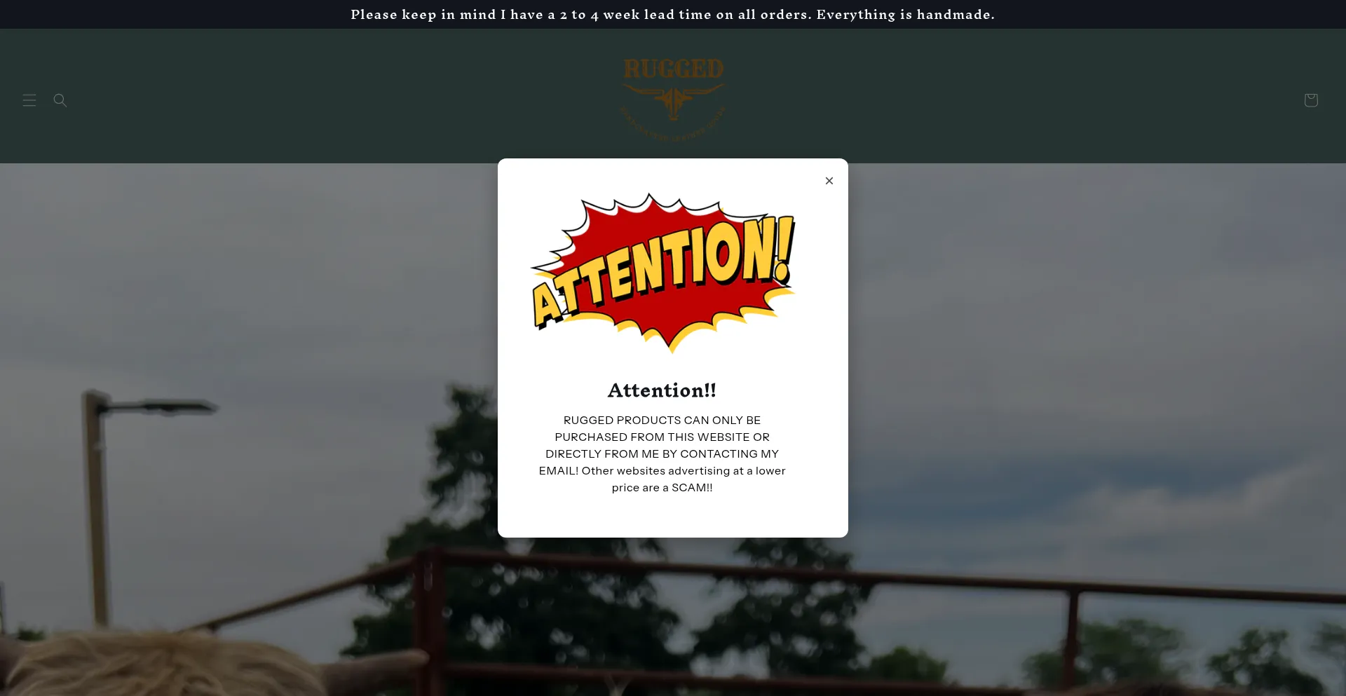 Ruggedtx.com é Seguro e Confiável?