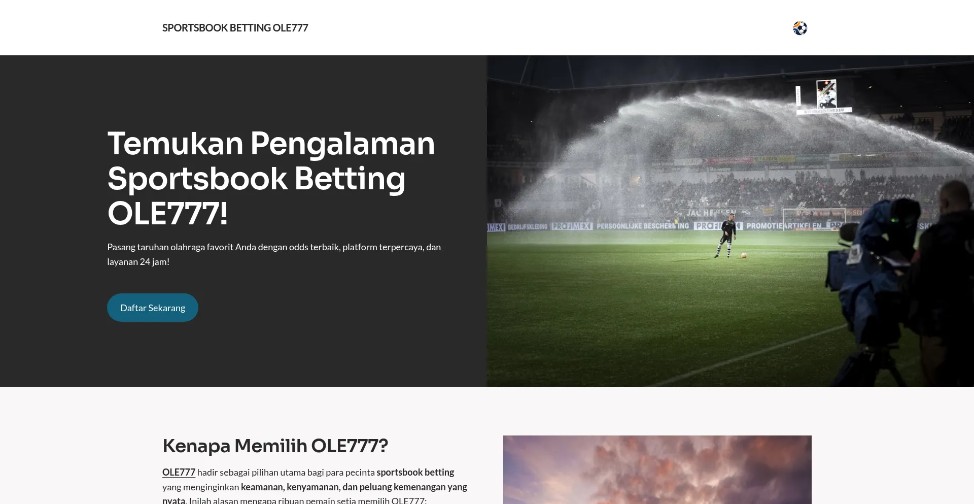 Website screenshot of Sagarmy.com