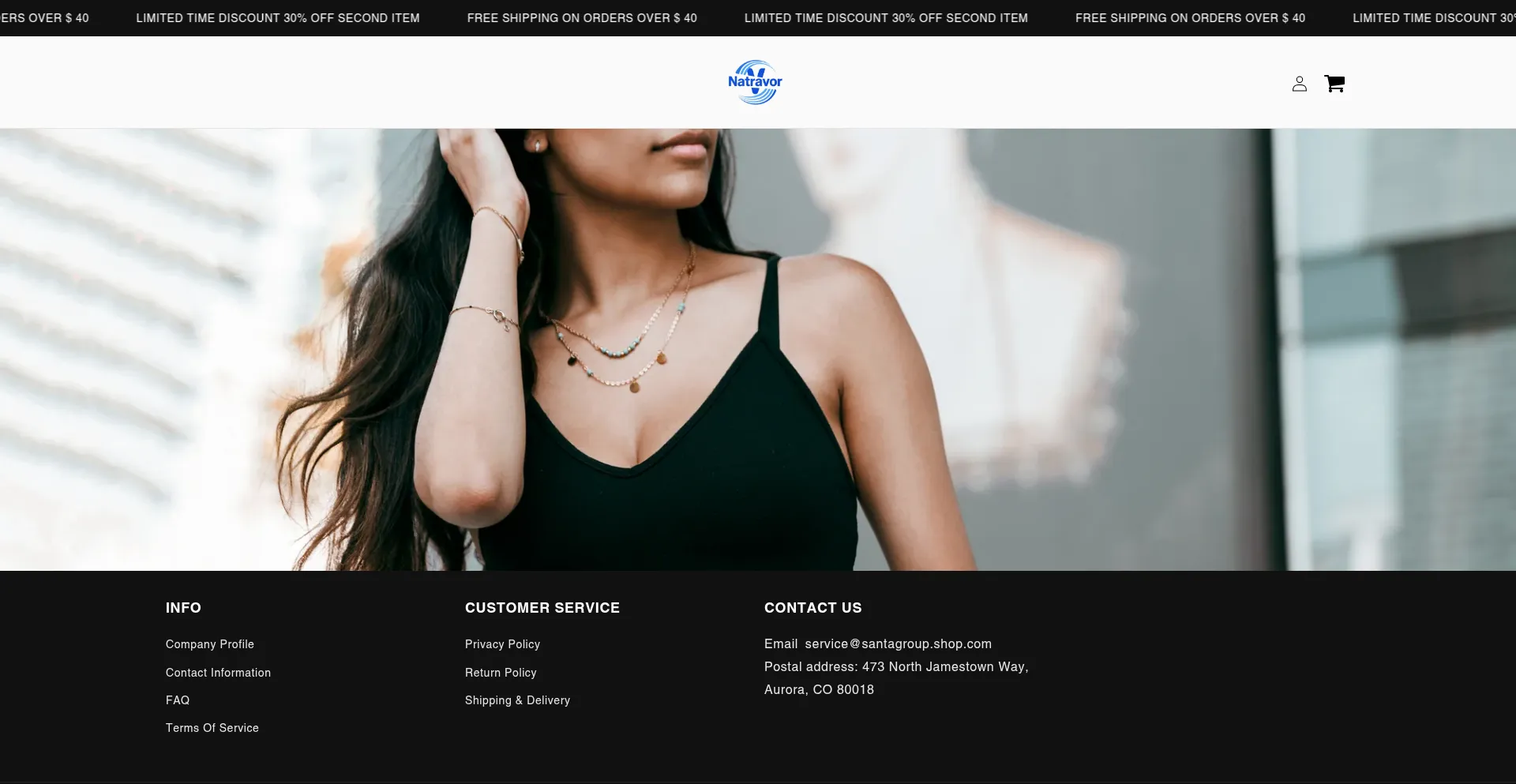 Website screenshot of Santagroup.shop