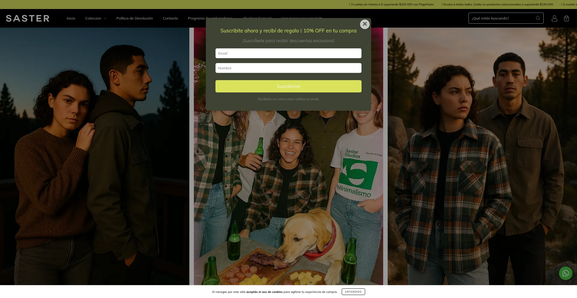 Website screenshot of Saster.com.ar