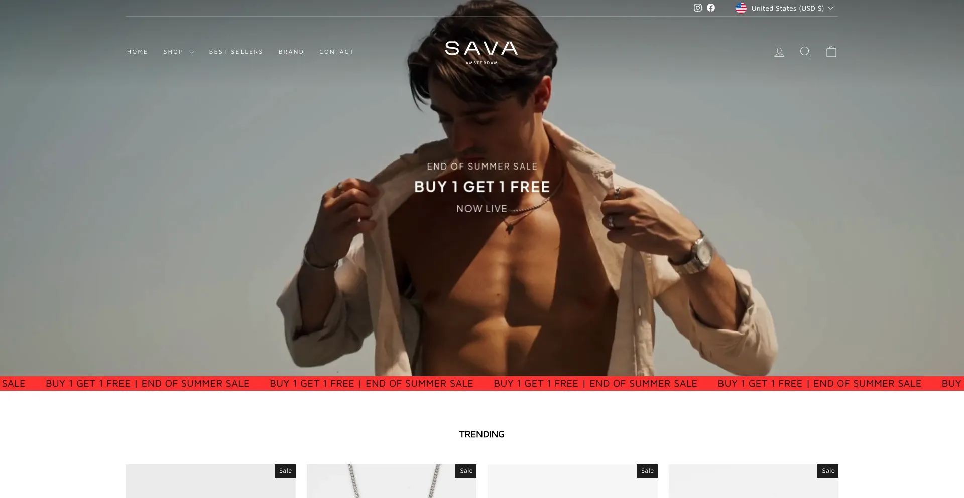 Website screenshot of Sava-amsterdam.com